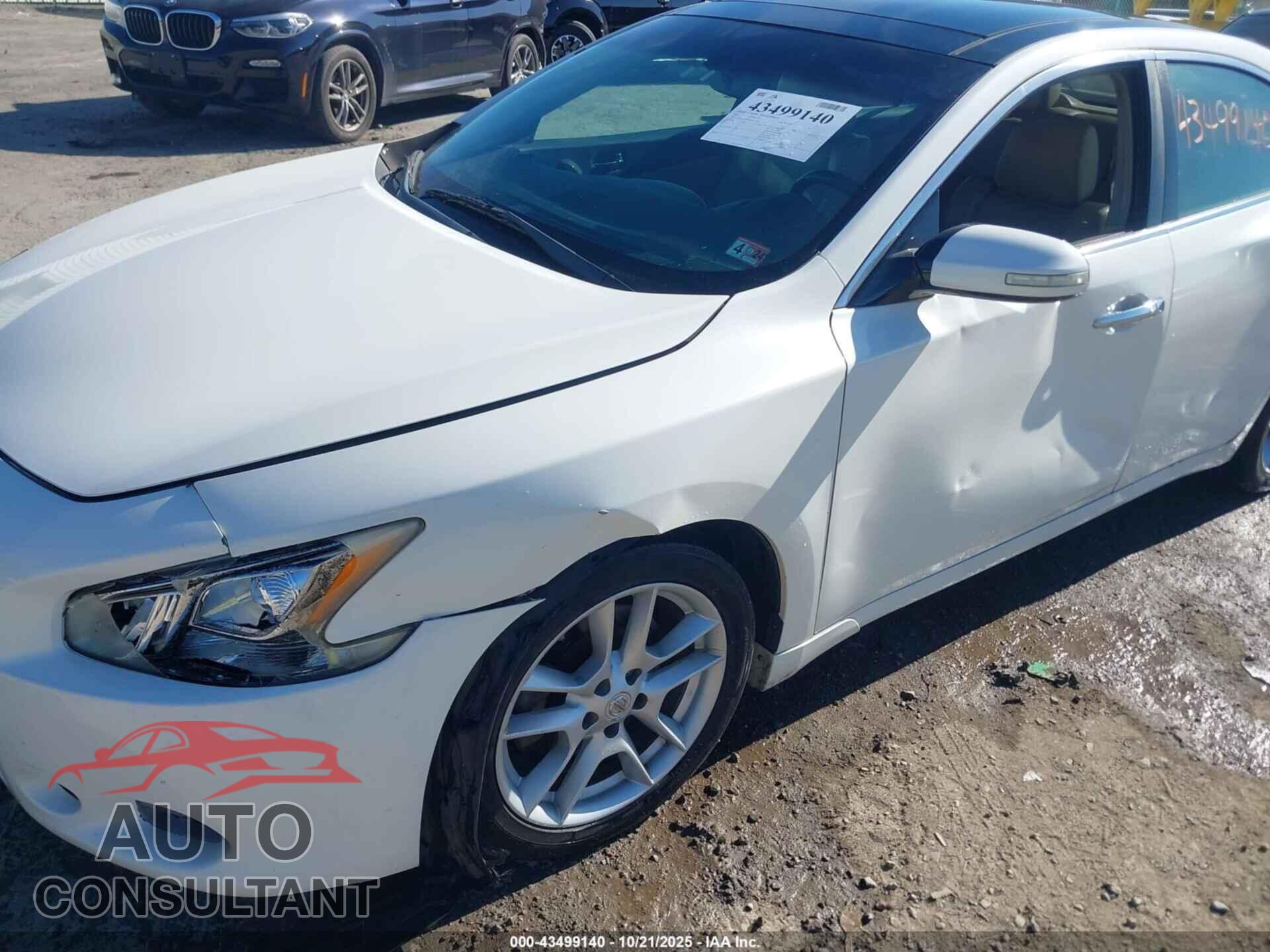 NISSAN MAXIMA 2011 - 1N4AA5AP1BC812778
