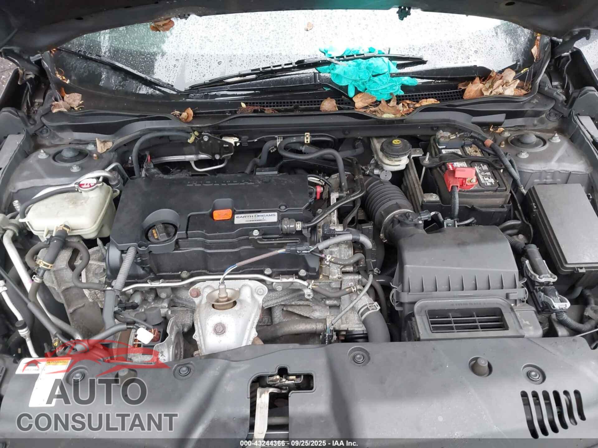 HONDA CIVIC 2019 - 2HGFC2F87KH572273