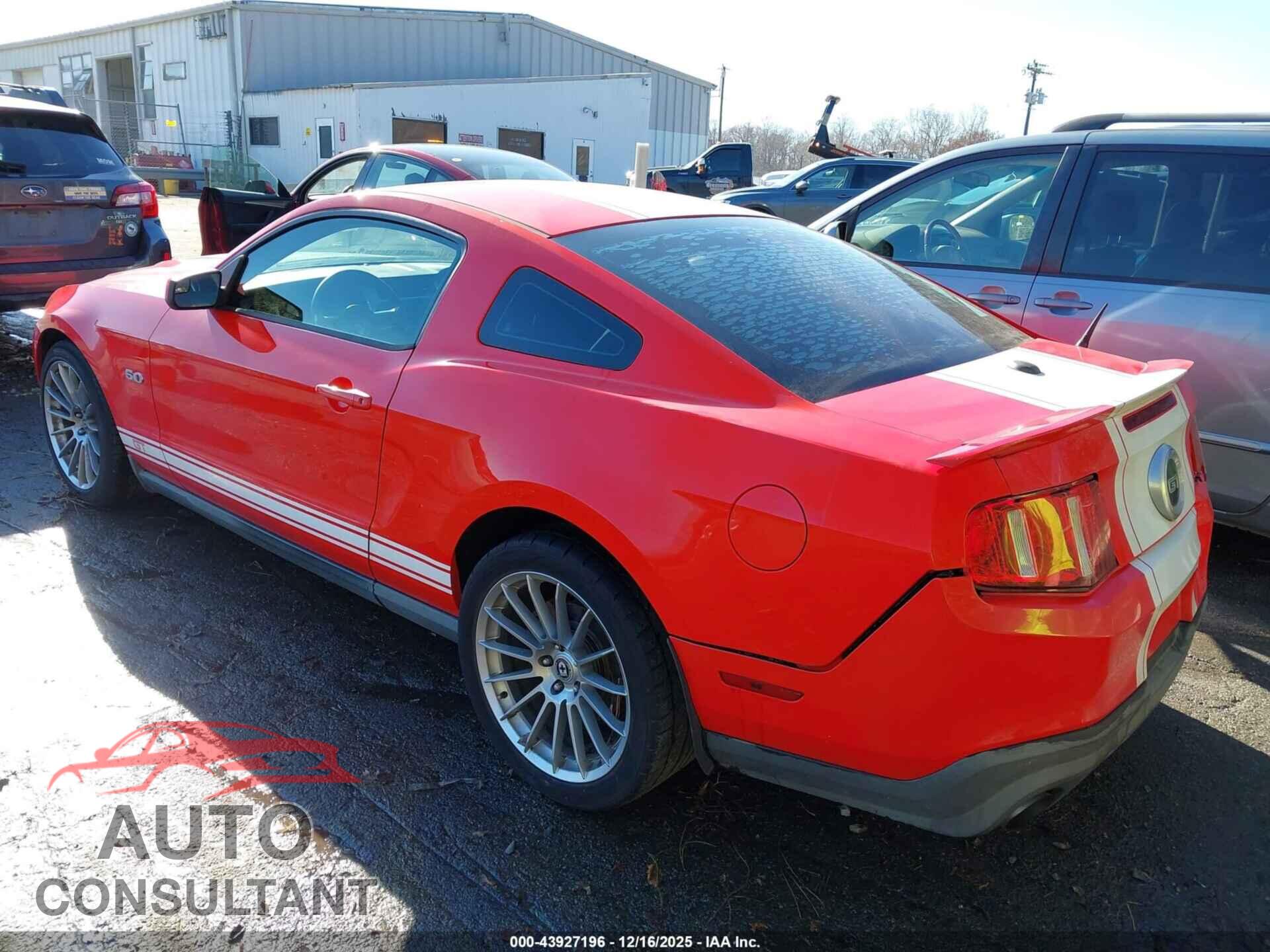 FORD MUSTANG 2011 - 1ZVBP8CF7B5116446