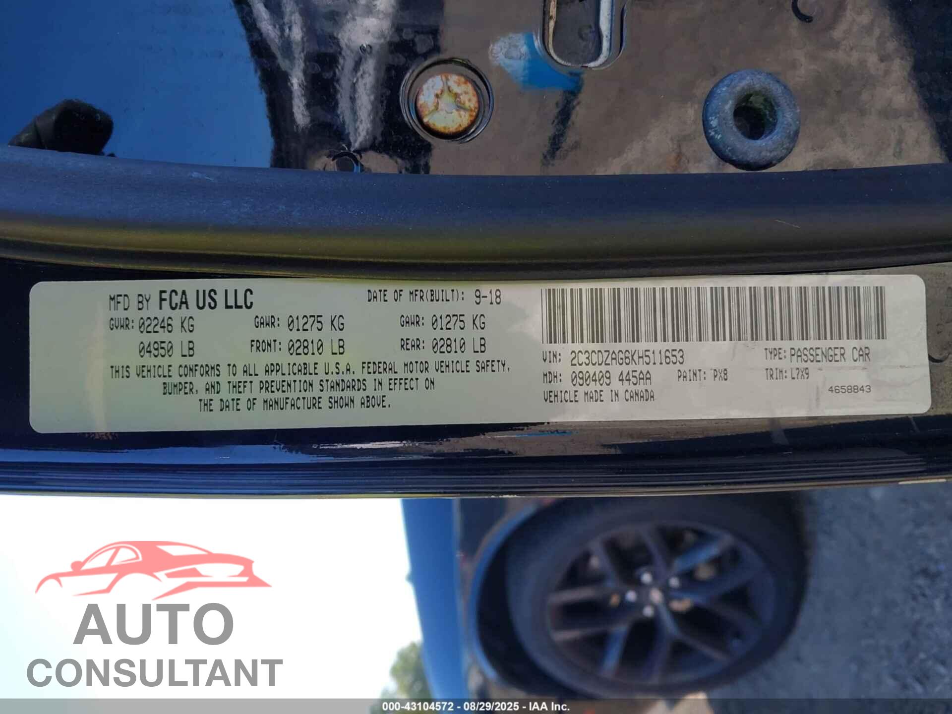 DODGE CHALLENGER 2019 - 2C3CDZAG6KH511653