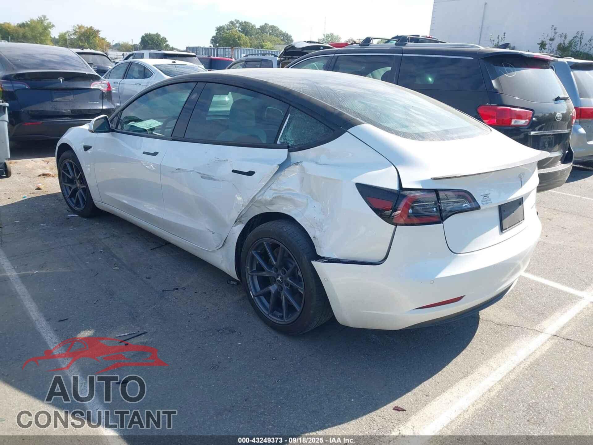 TESLA MODEL 3 2021 - 5YJ3E1EB7MF981367