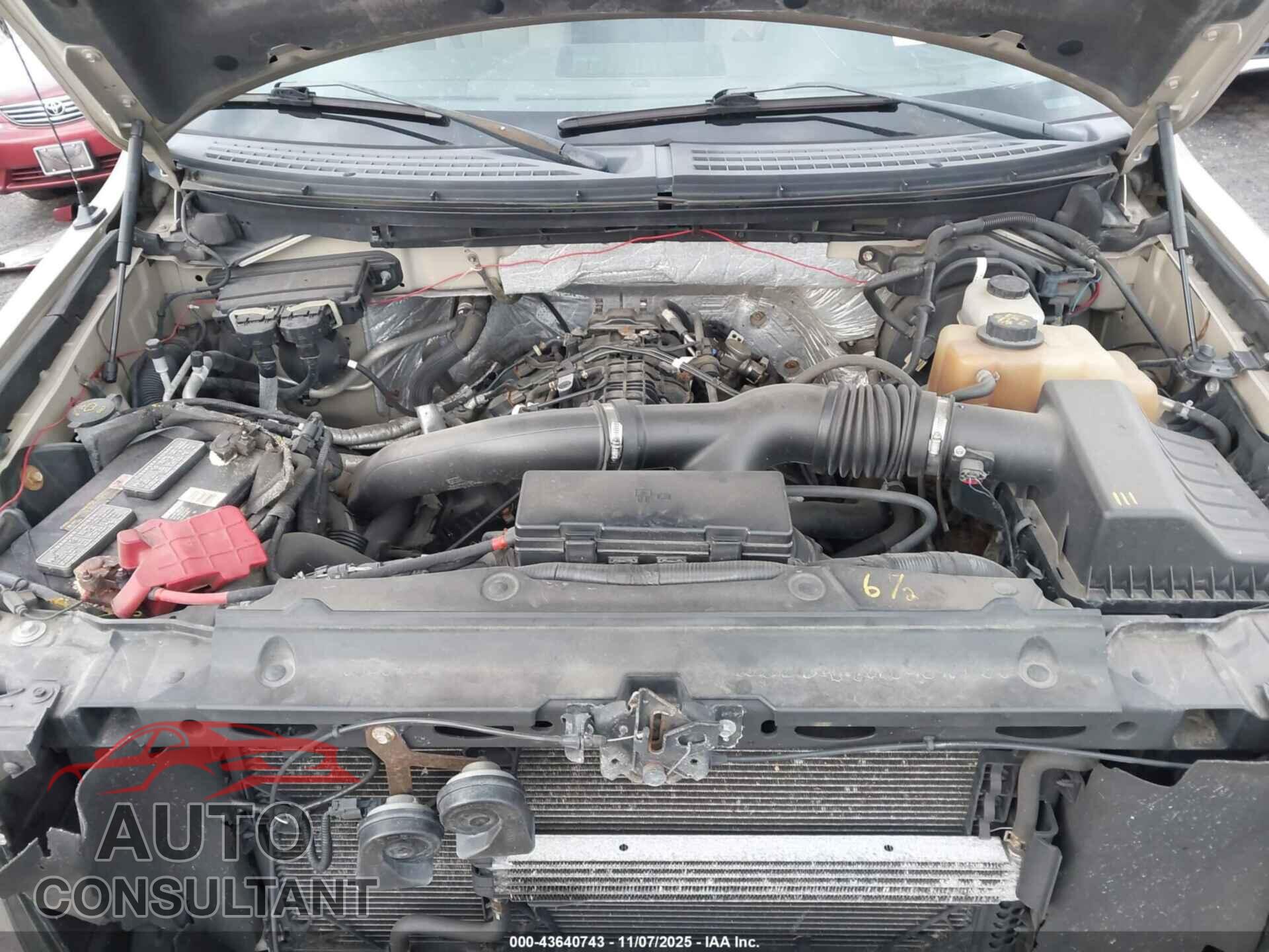FORD F-150 2011 - 1FTFW1ET3BFB15404