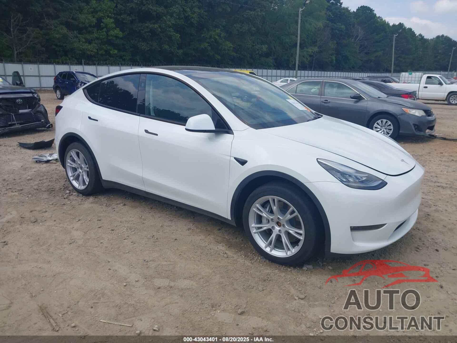 TESLA MODEL Y 2023 - 7SAYGDEE8PA150850