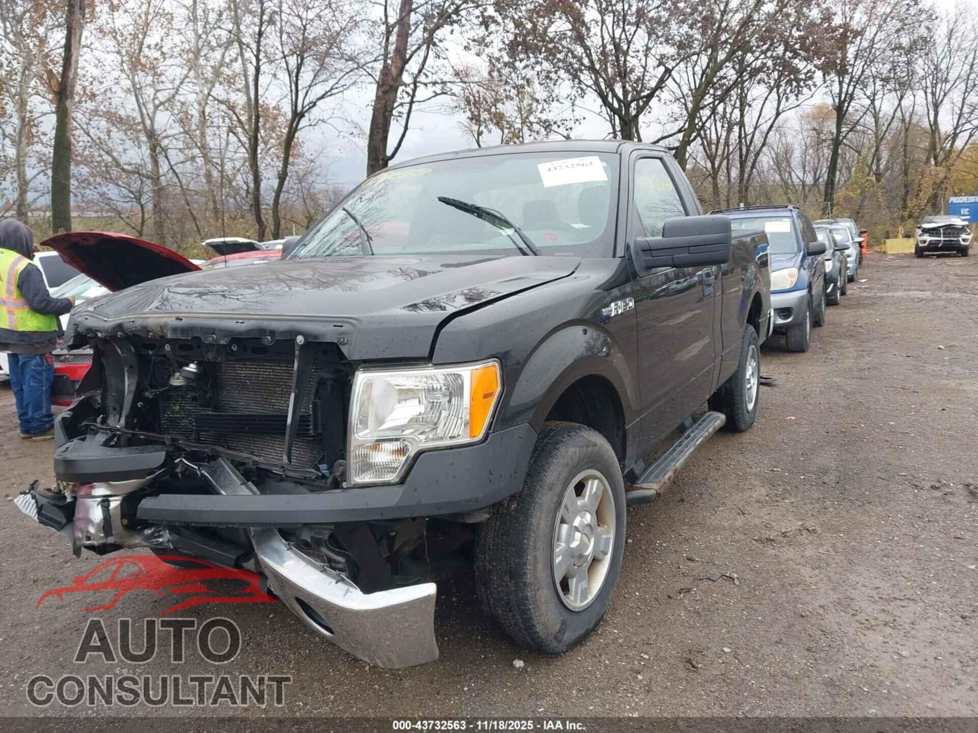 FORD F-150 2013 - 1FTMF1CM1DFB50559