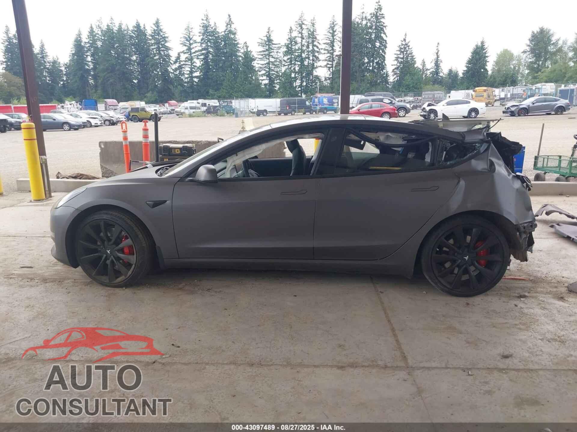 TESLA MODEL 3 2019 - 5YJ3E1EB6KF392873