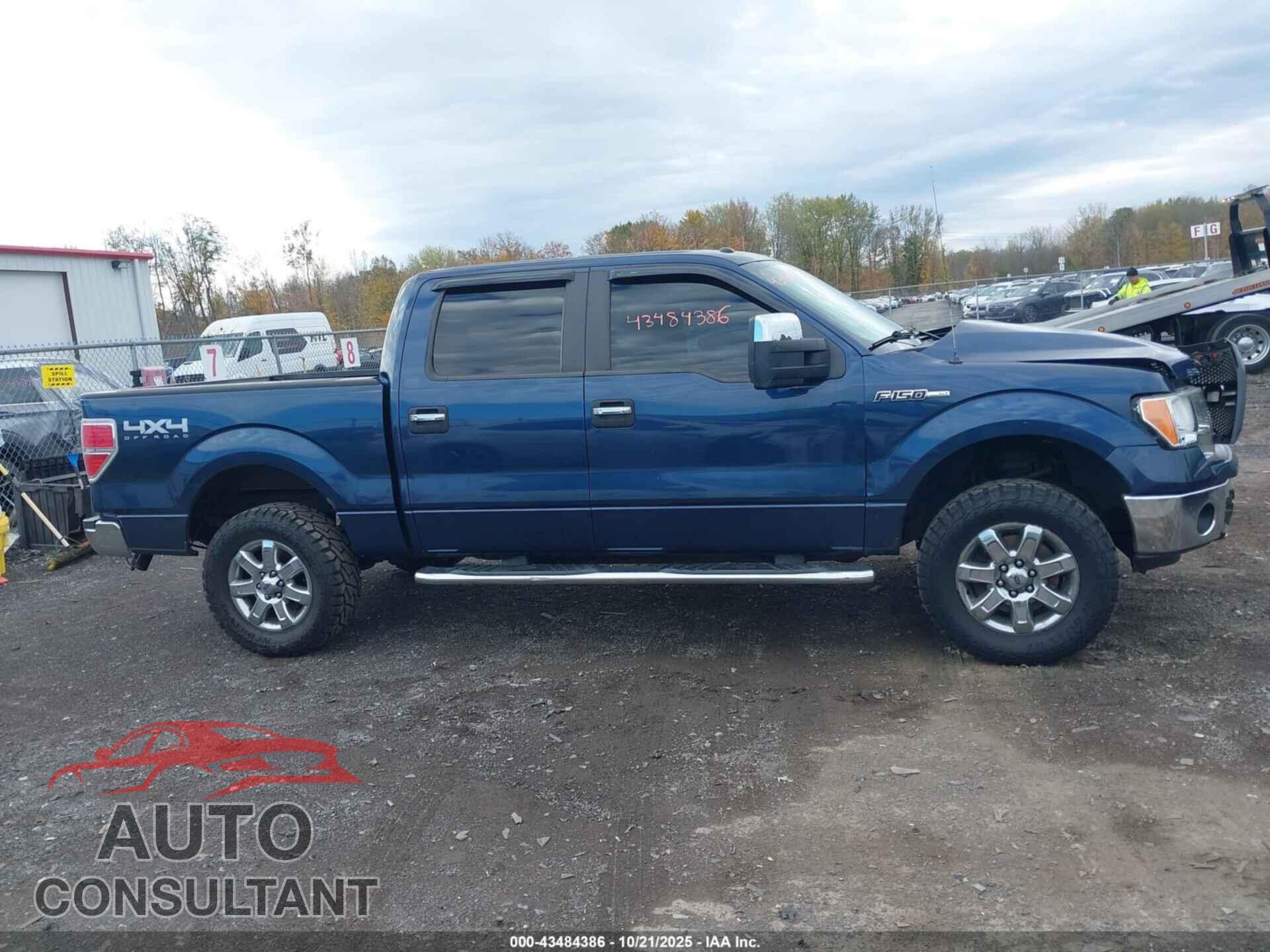 FORD F-150 2013 - 1FTFW1EF1DFB40556