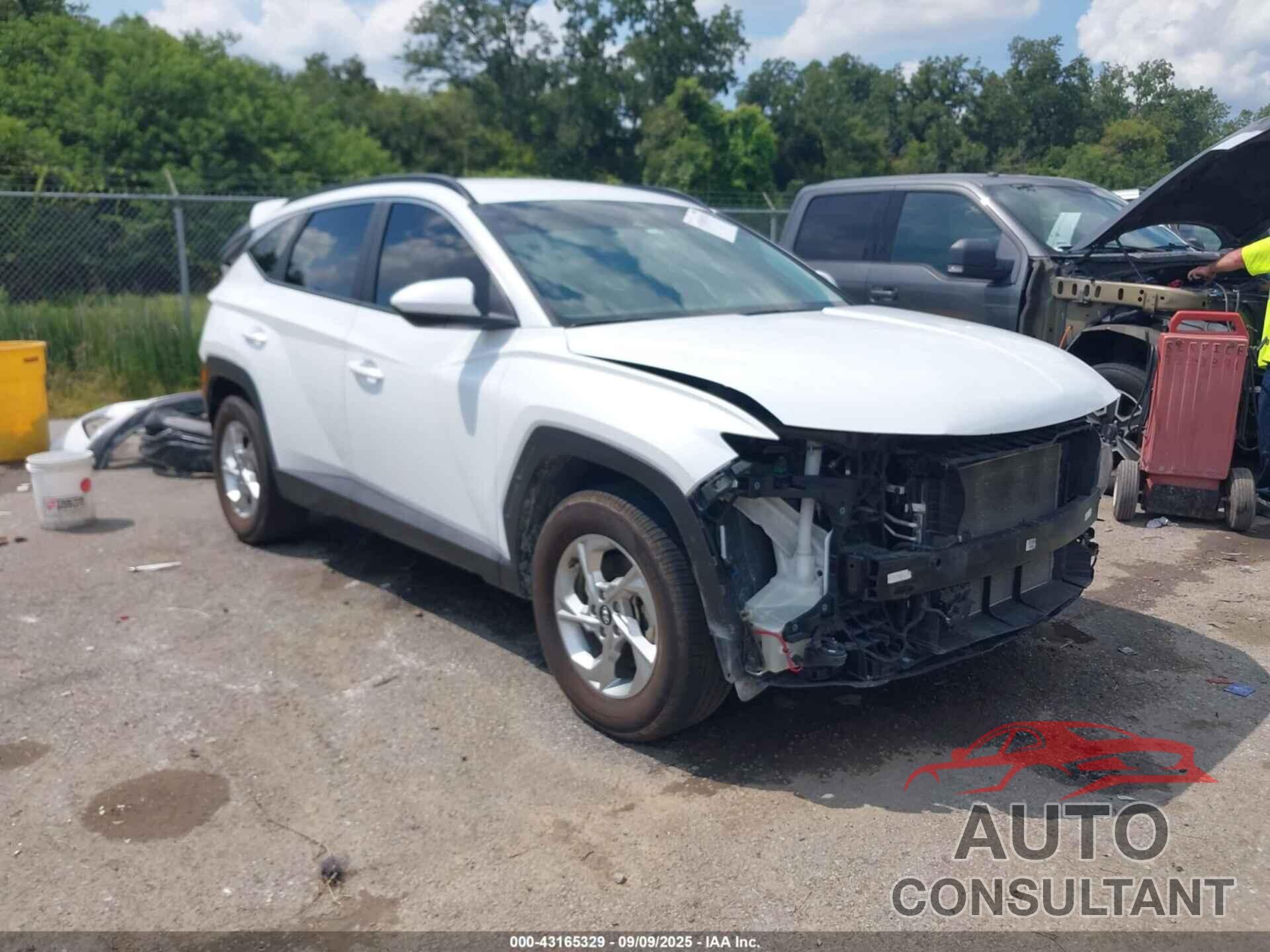 HYUNDAI TUCSON 2024 - KM8JBCDE2RU287512