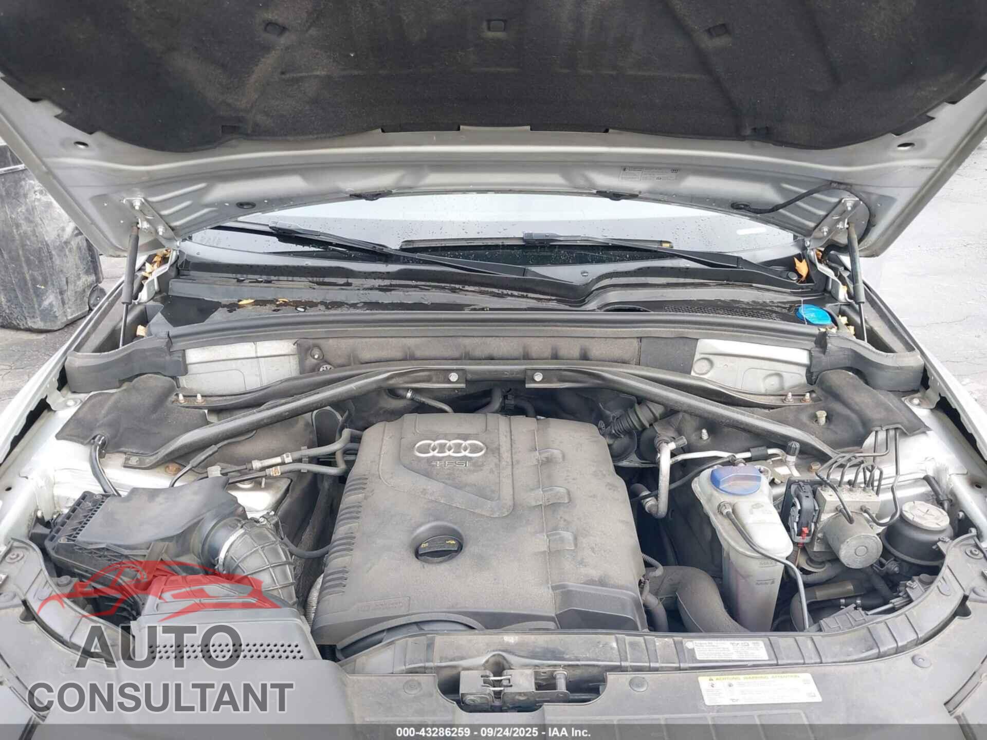 AUDI Q5 2011 - WA1CFAFPXBA010421