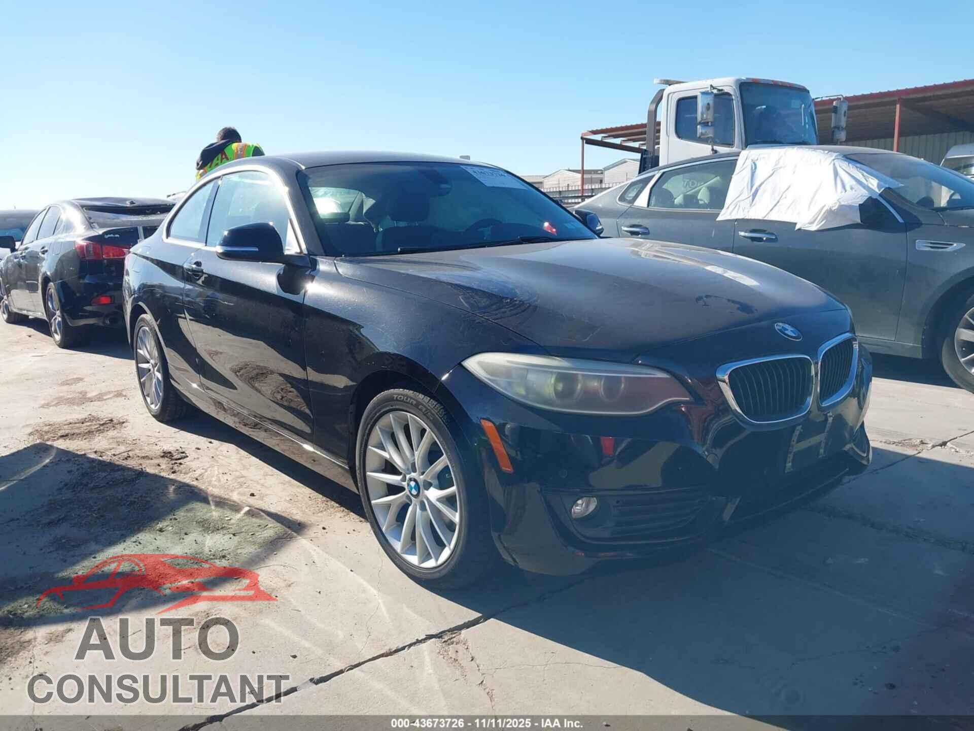 BMW 228I 2014 - WBA1F5C59EVV99592