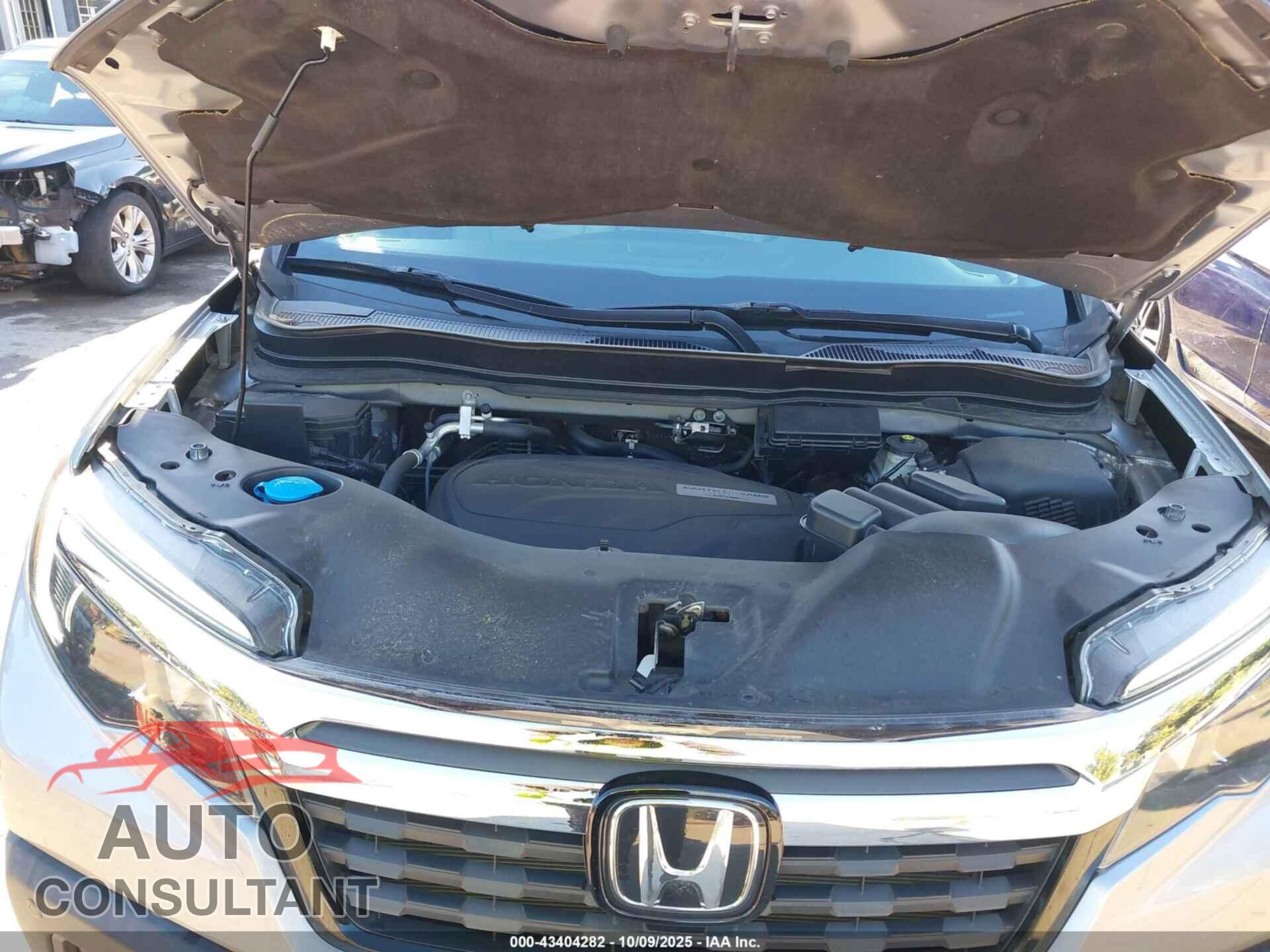 HONDA RIDGELINE 2019 - 5FPYK3F74KB028897