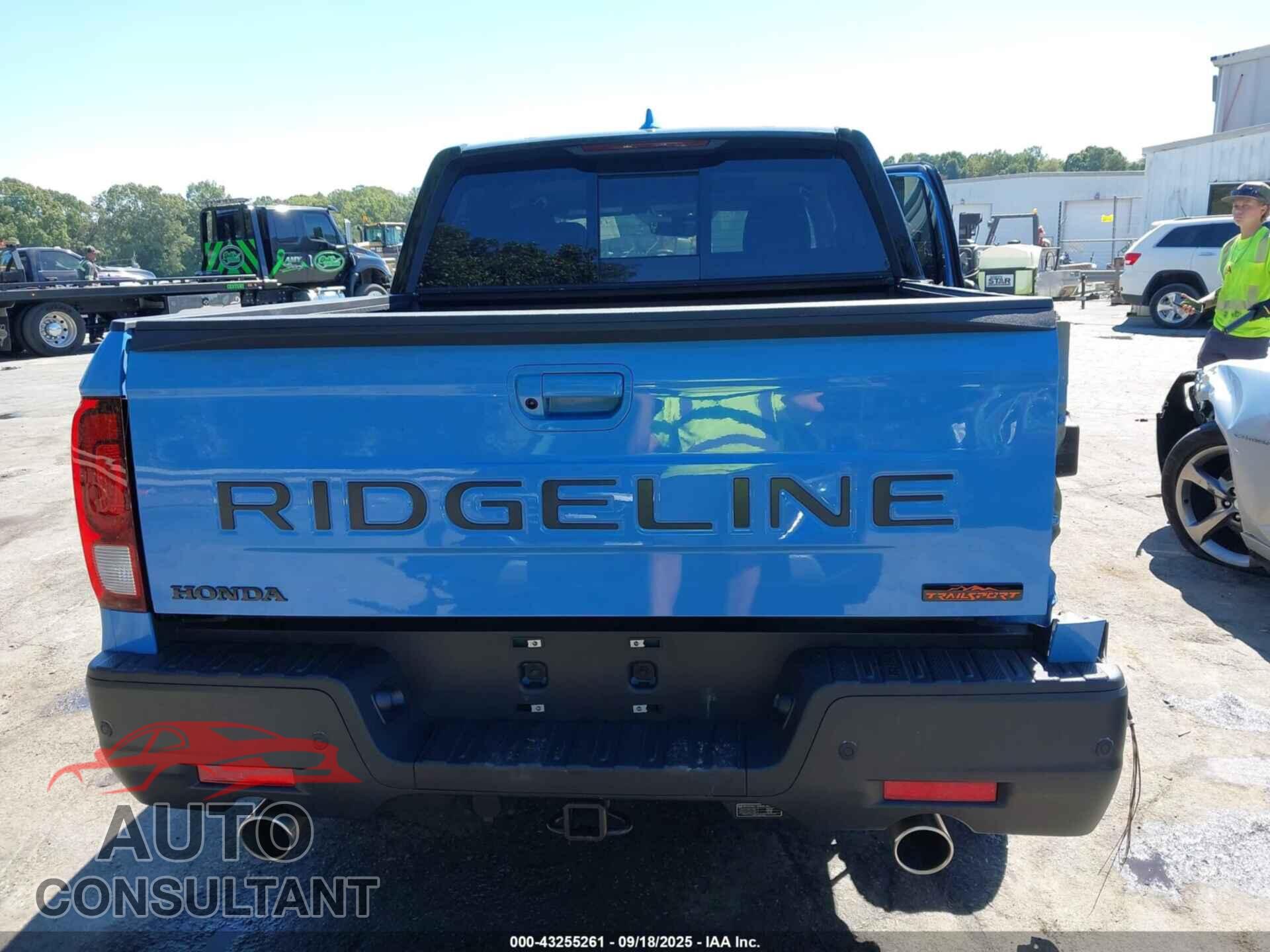 HONDA RIDGELINE 2024 - 5FPYK3F69RB012583