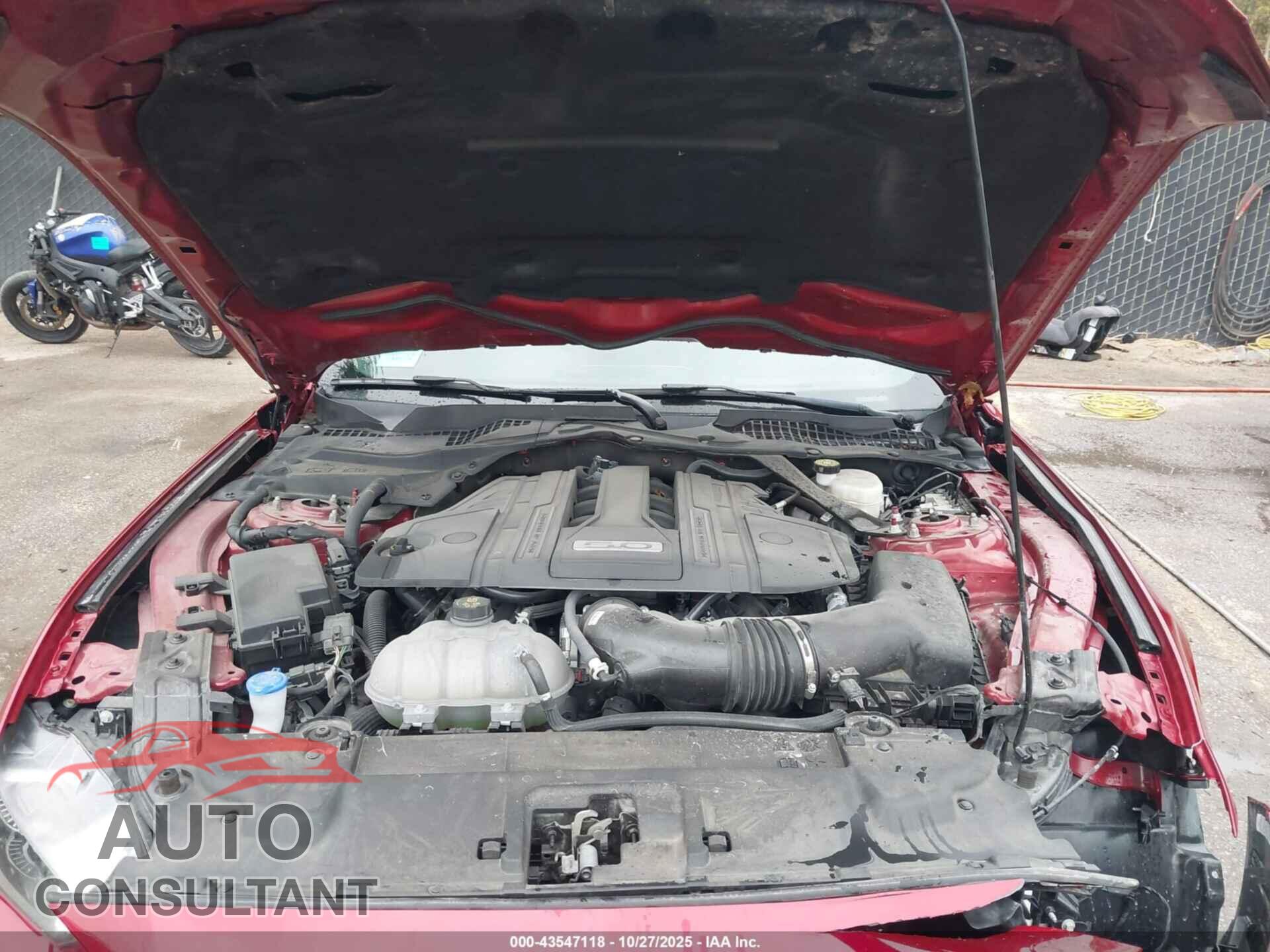 FORD MUSTANG 2023 - 1FA6P8CF1P5300220