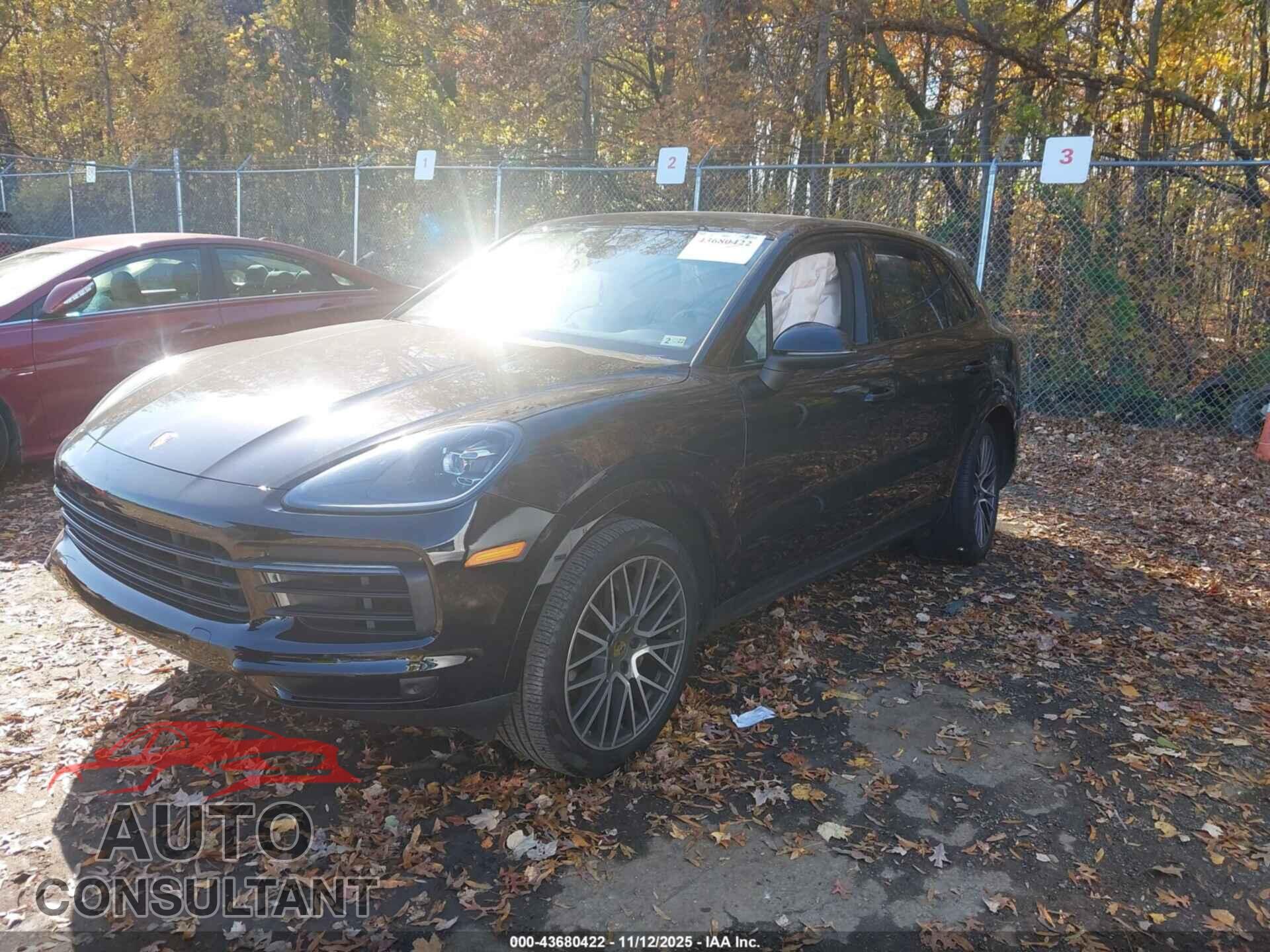 PORSCHE CAYENNE 2020 - WP1AA2AY0LDA03395