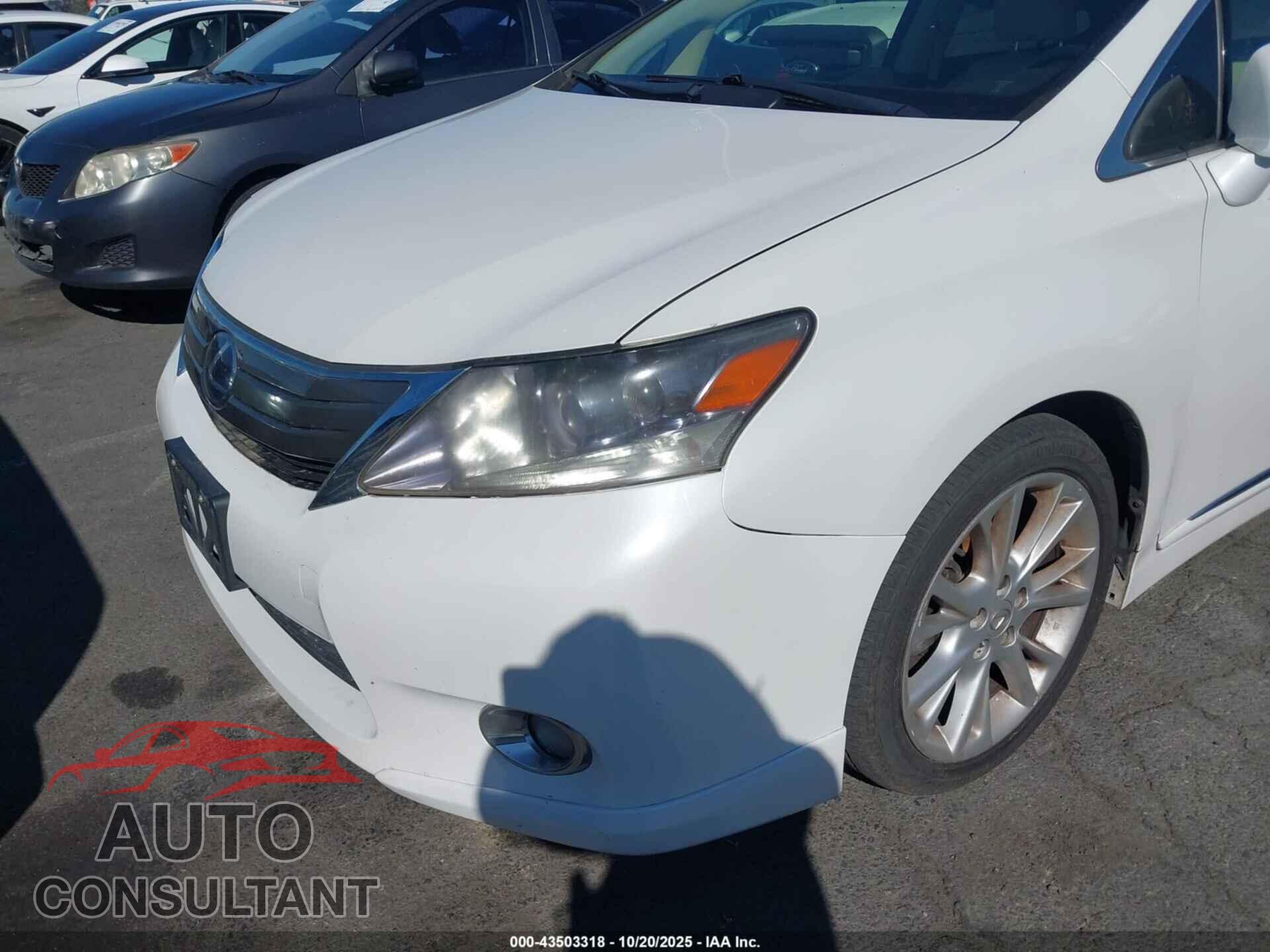 LEXUS HS 250H 2010 - JTHBB1BA4A2012560