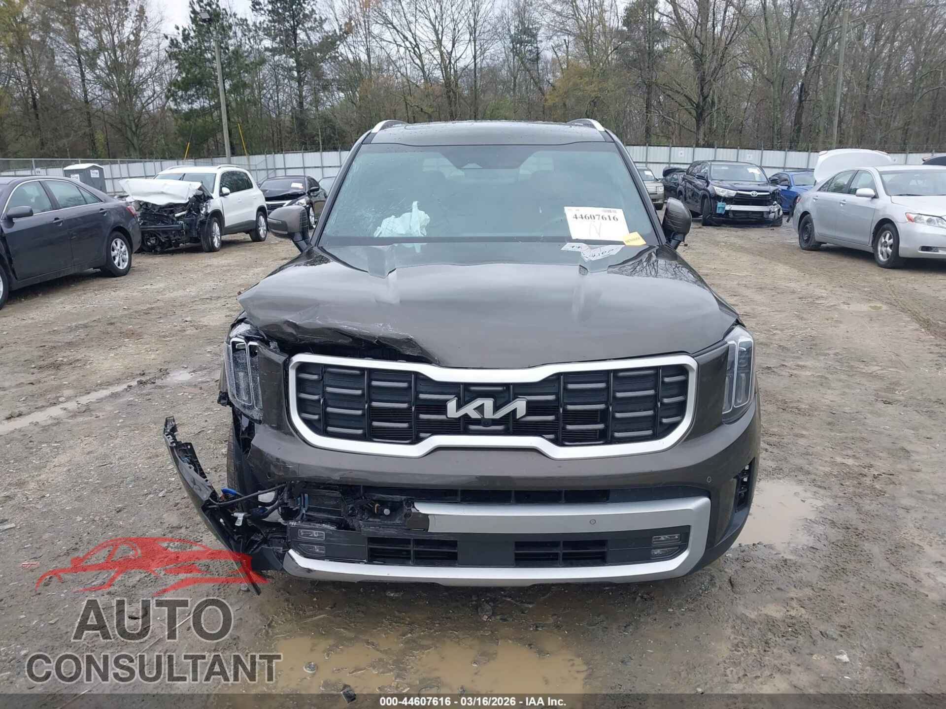 KIA TELLURIDE 2024 - 5XYP5DGC2RG461683