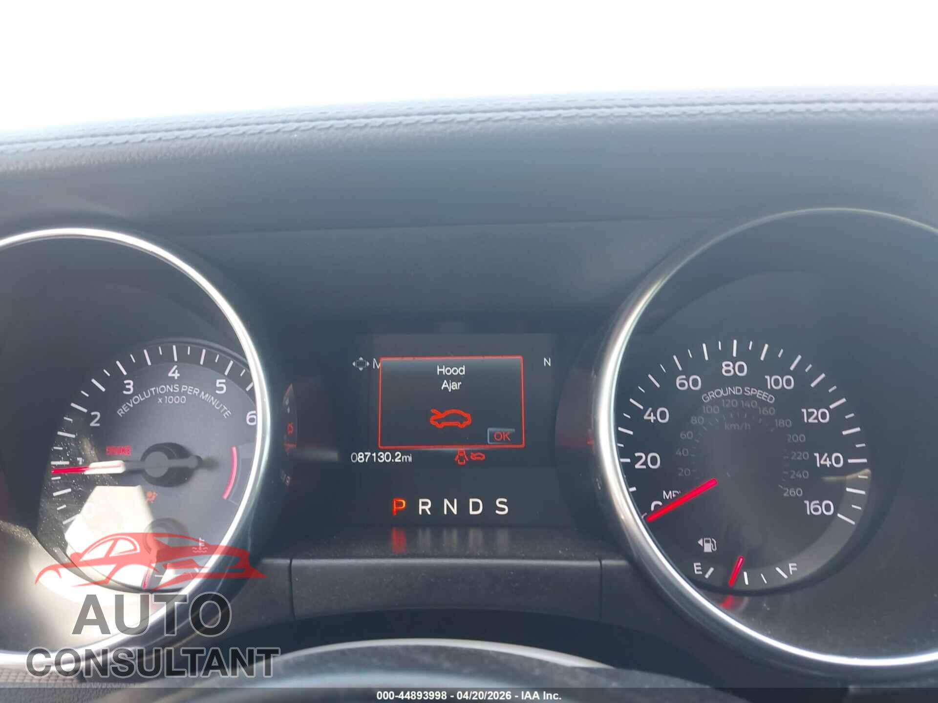 FORD MUSTANG 2019 - 1FA6P8TH3K5120375
