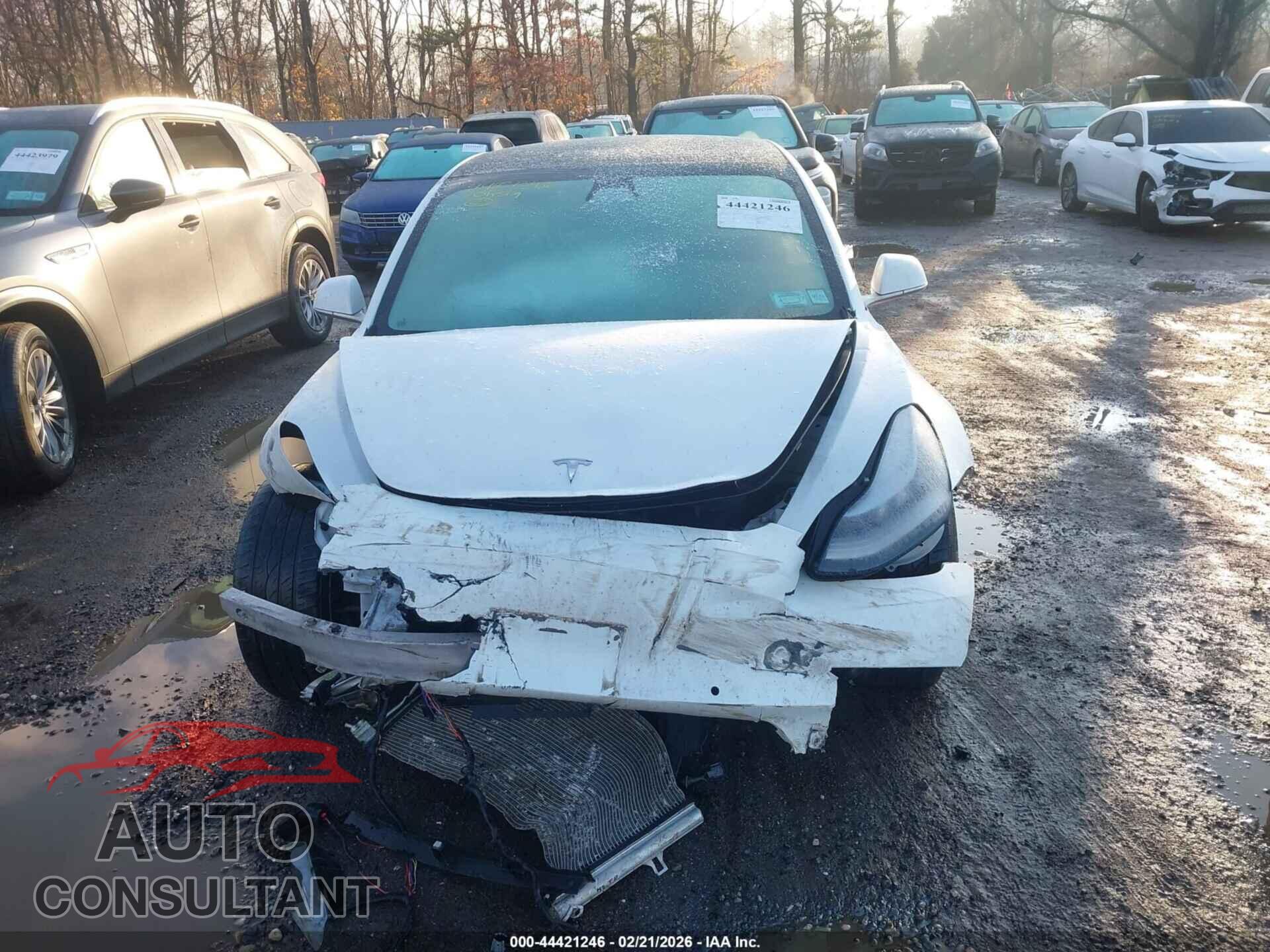 TESLA MODEL 3 2020 - 5YJ3E1EB5LF651192