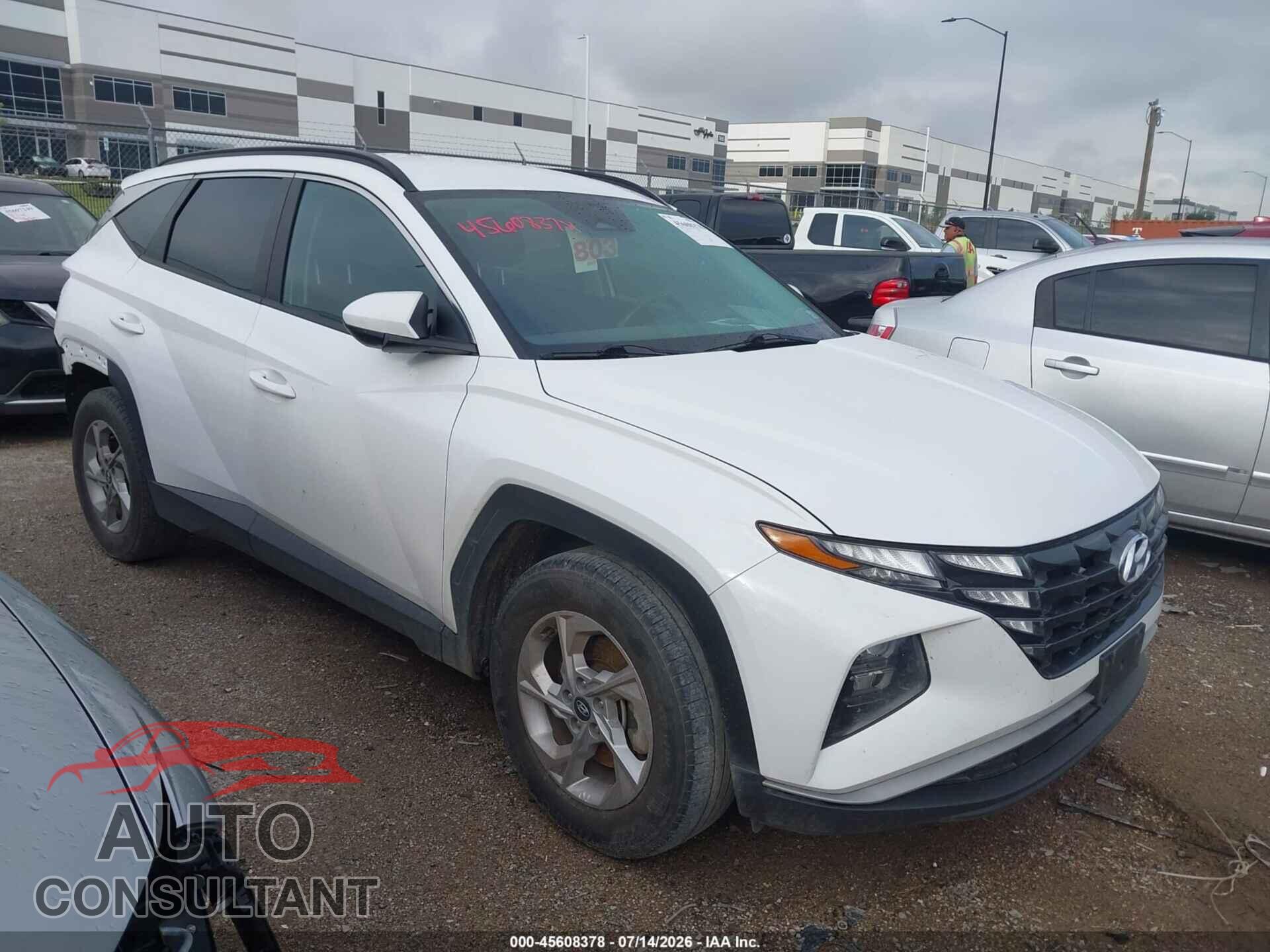 HYUNDAI TUCSON 2024 - 5NMJB3DE2RH395382