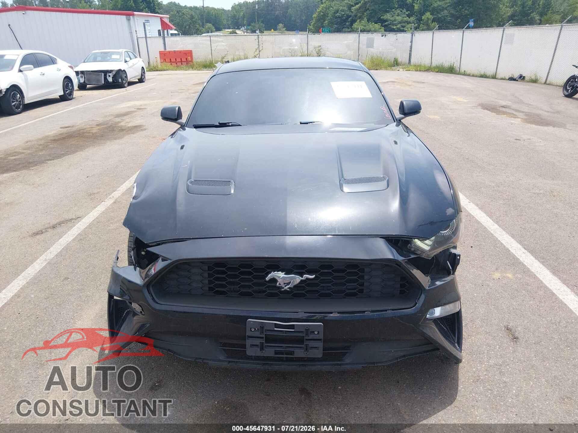 FORD MUSTANG 2019 - 1FA6P8TH3K5118092