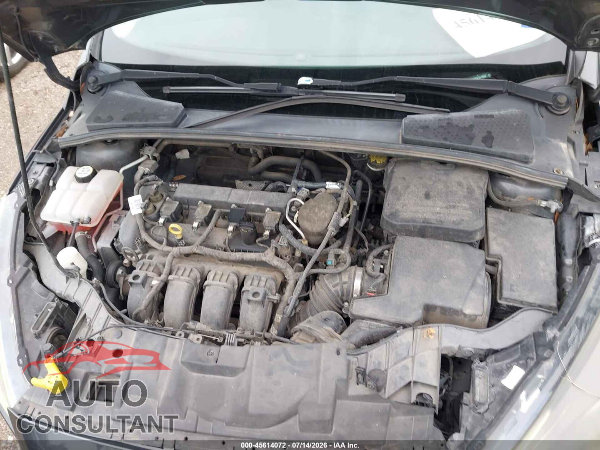 FORD FOCUS 2016 - 1FADP3K21GL311982