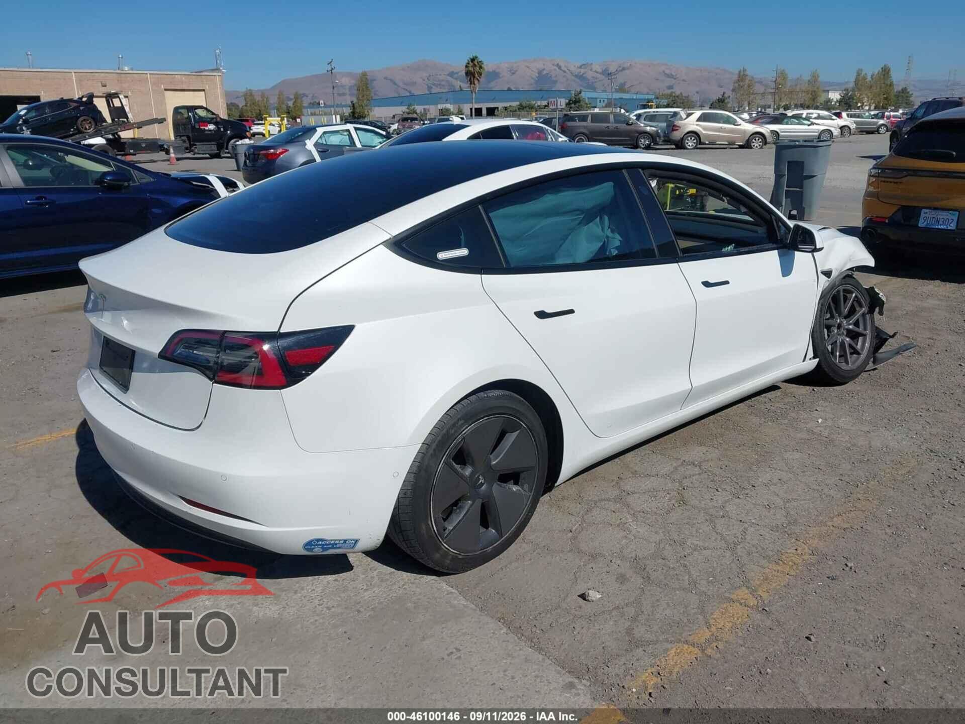 TESLA MODEL 3 2021 - 5YJ3E1EA1MF982554