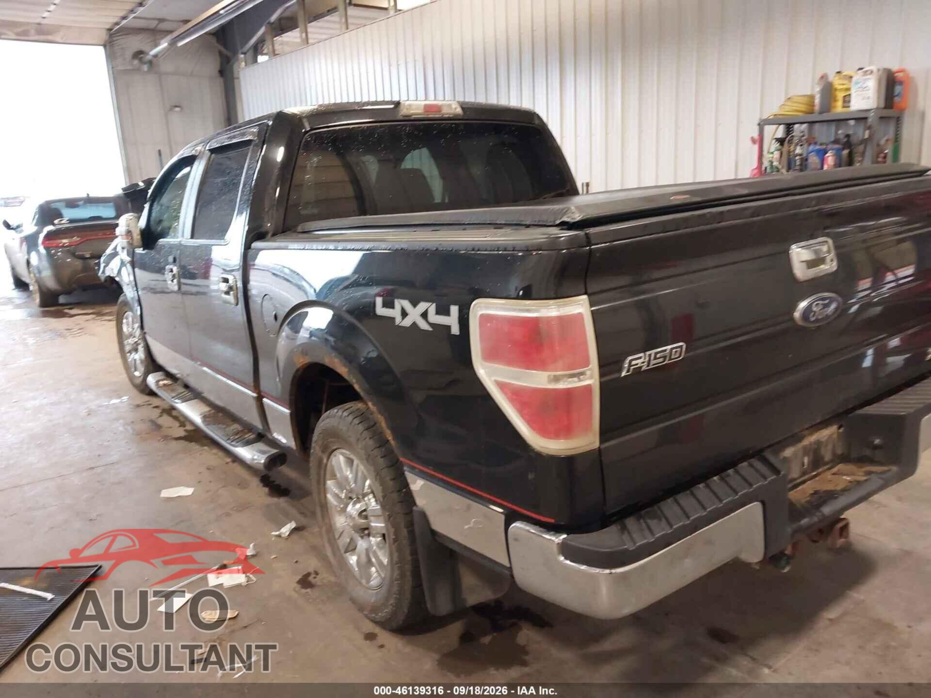 FORD F-150 2010 - 1FTFW1EV3AFB07741