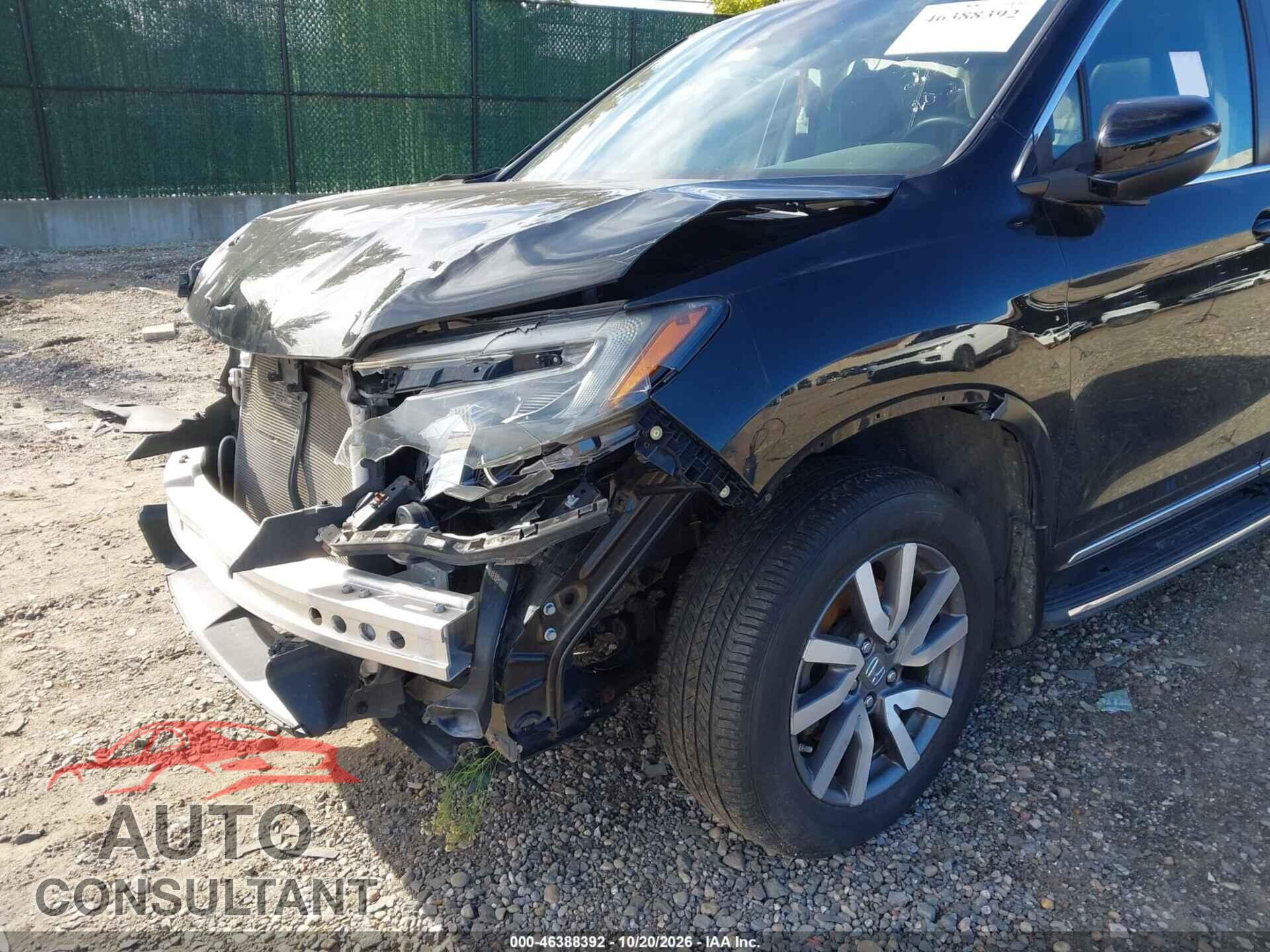 HONDA PILOT 2019 - 5FNYF6H52KB057499