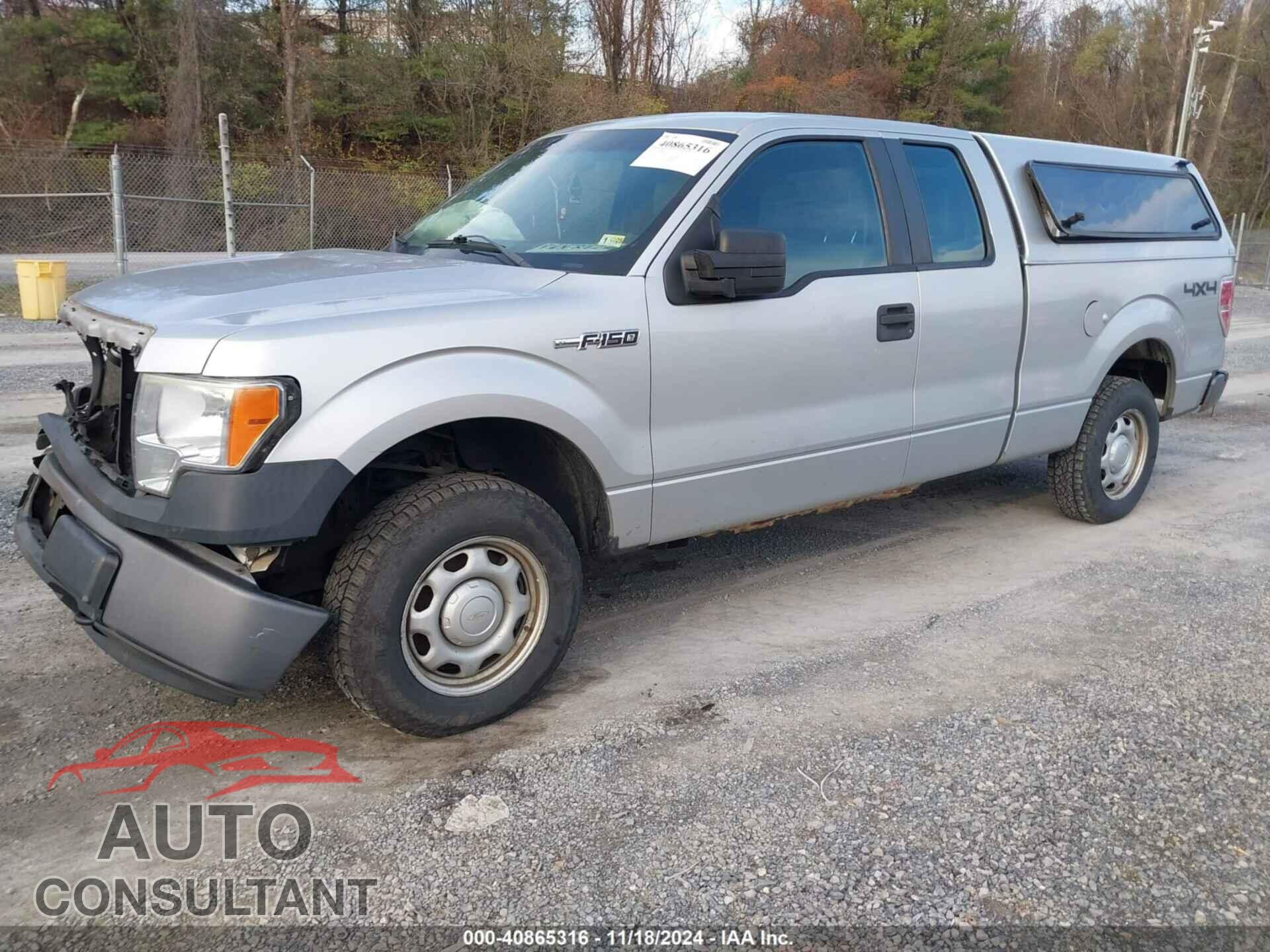 FORD F-150 2011 - 1FTFX1EF1BFA95872