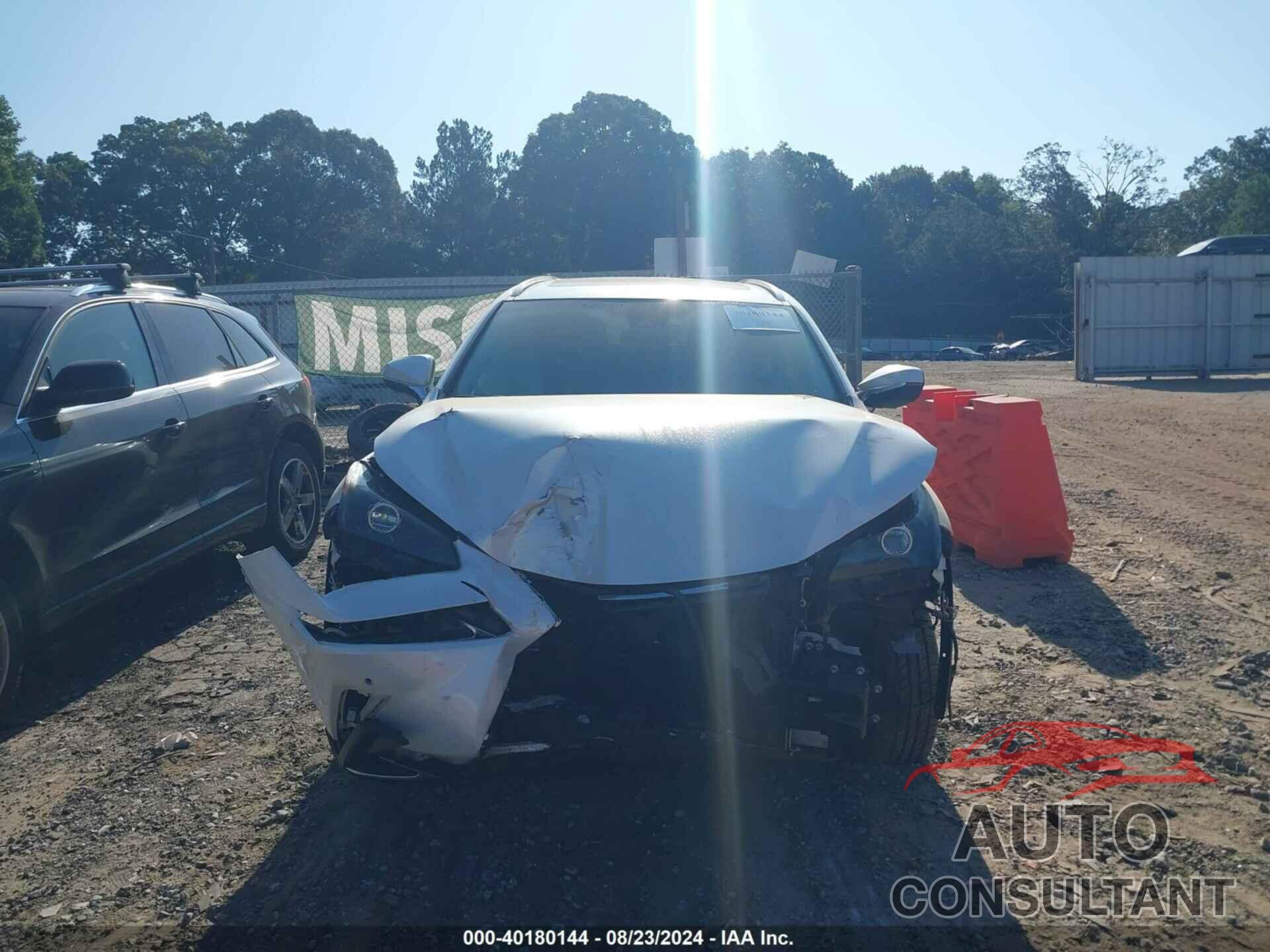 LEXUS NX 300 2019 - JTJYARBZ5K2126889