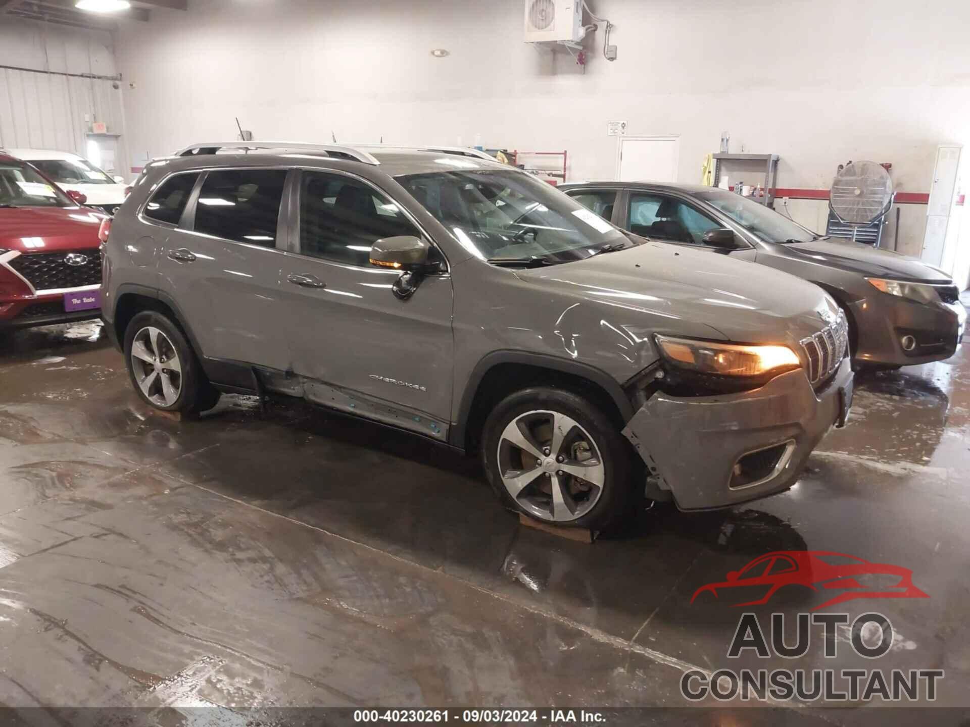 JEEP CHEROKEE 2019 - 1C4PJMDX0KD441813