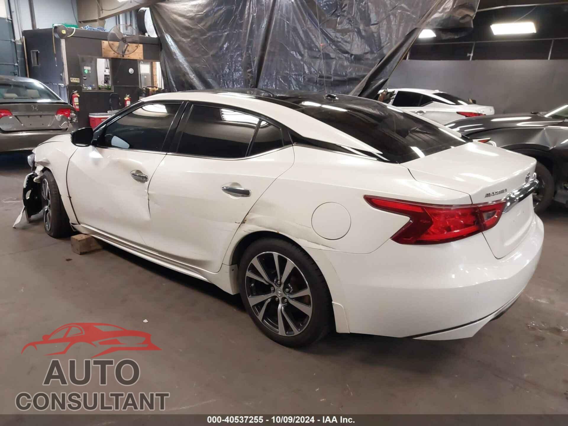NISSAN MAXIMA 2017 - 1N4AA6APXHC437567