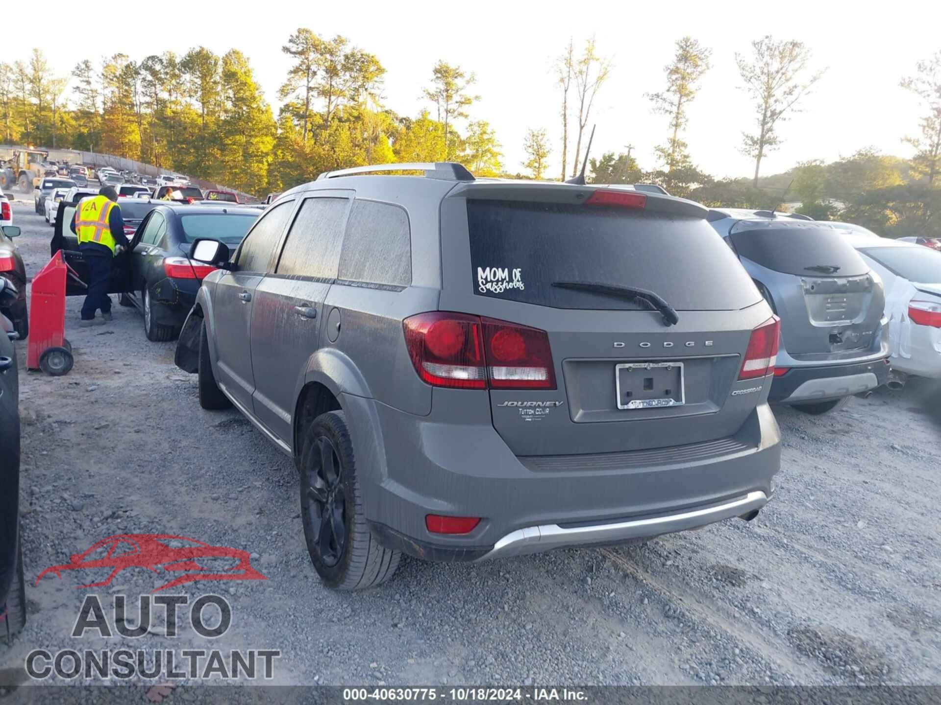 DODGE JOURNEY 2019 - 3C4PDCGB0KT868713