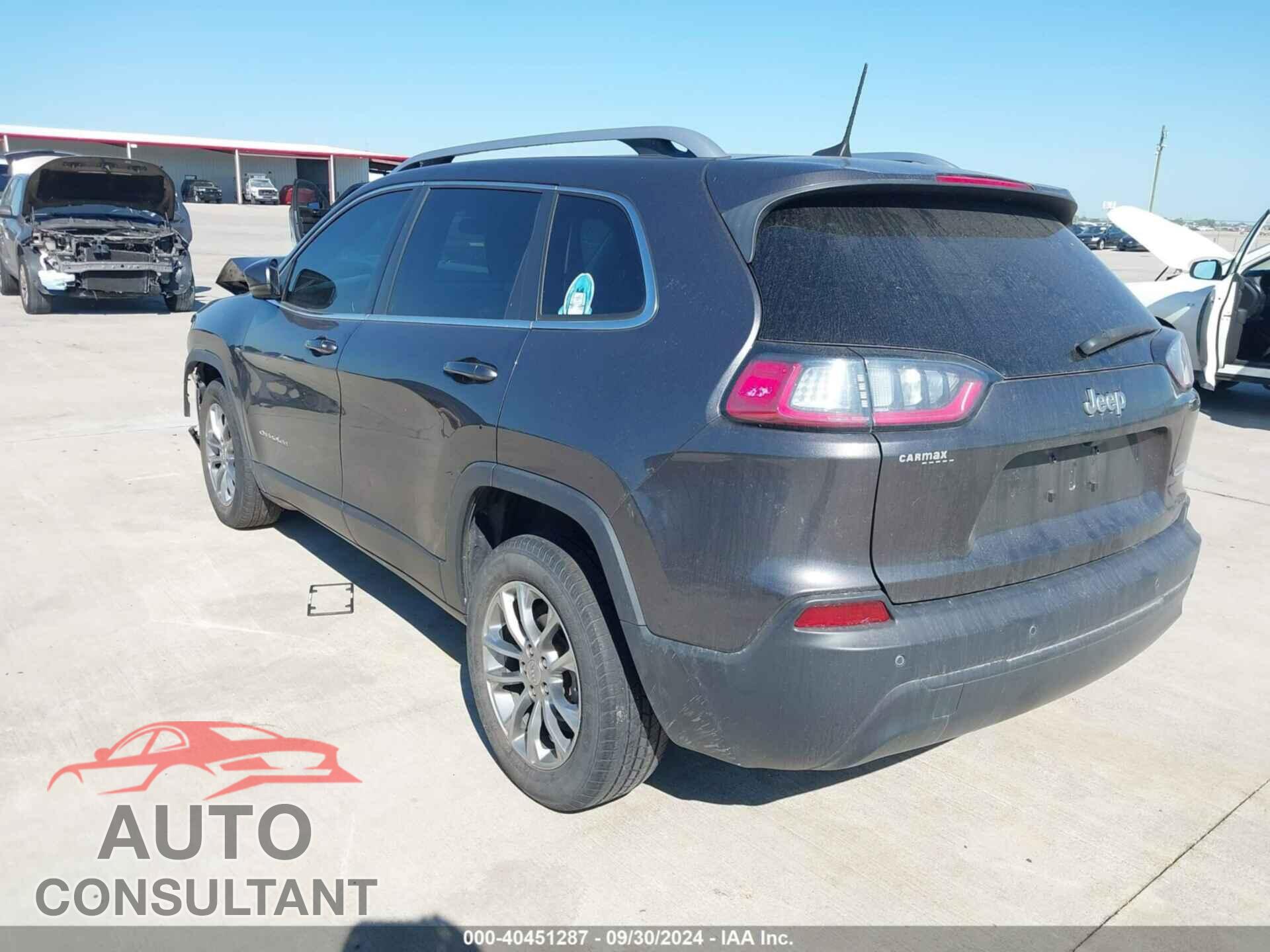 JEEP CHEROKEE 2019 - 1C4PJLLB9KD215737