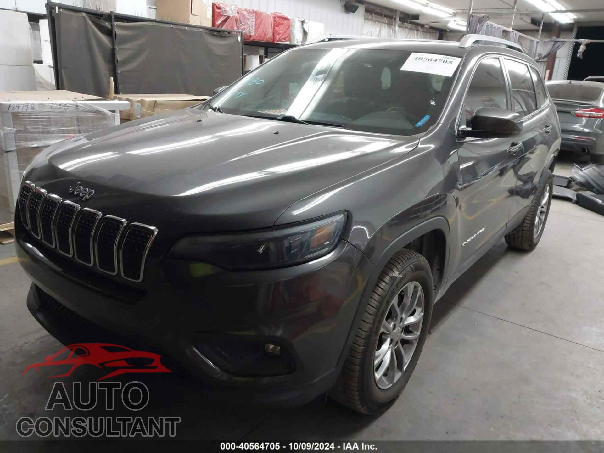 JEEP CHEROKEE 2020 - 1C4PJMLB6LD551580