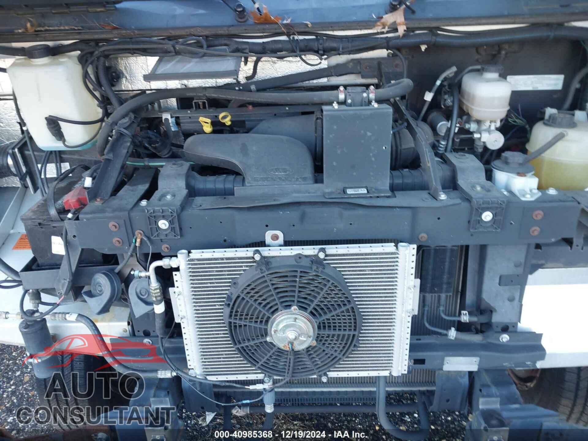 FORD E-450 STRIPPED 2019 - 1FC3E4K64KDC48657