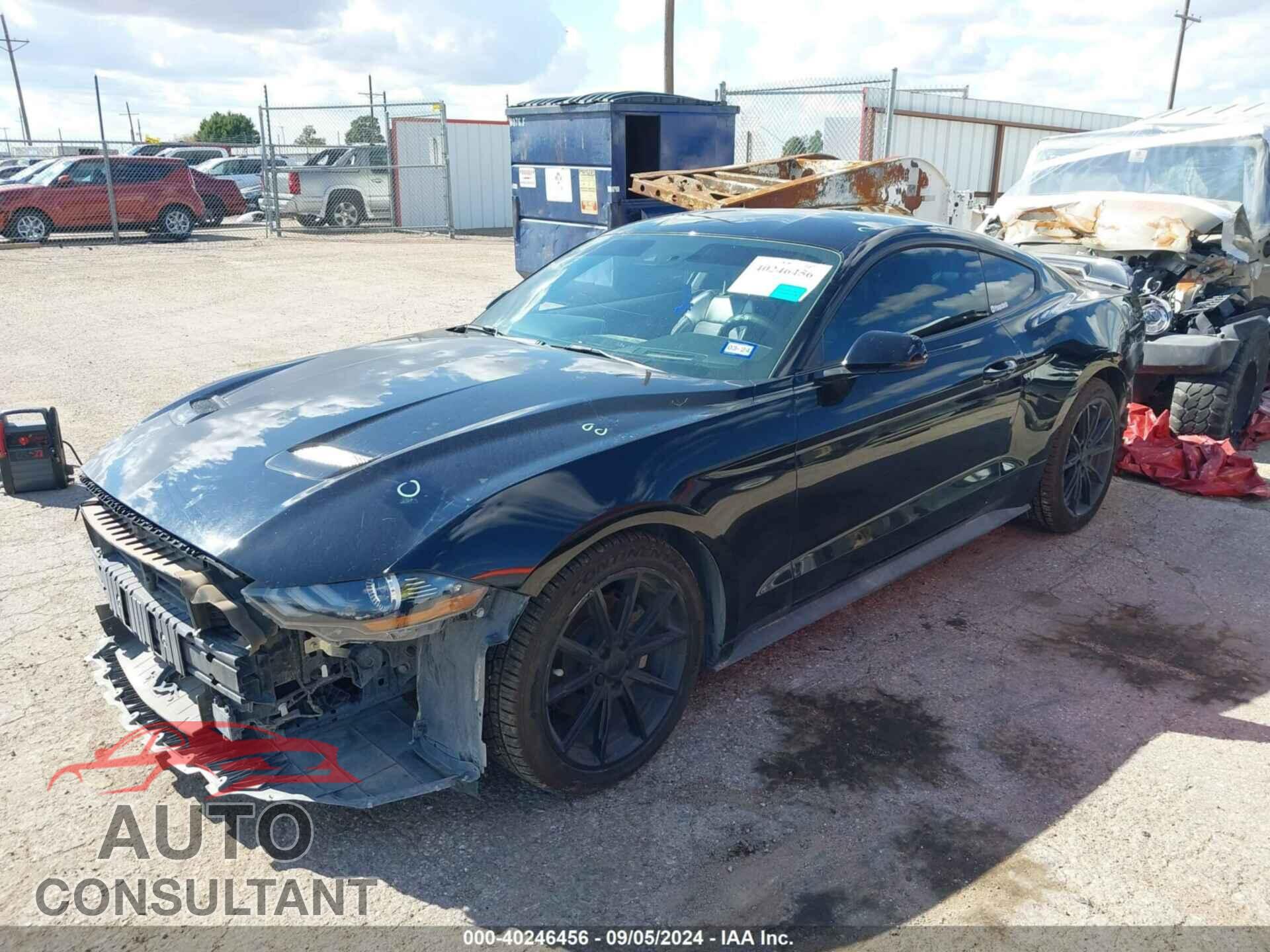 FORD MUSTANG 2019 - 1FA6P8TH4K5186479