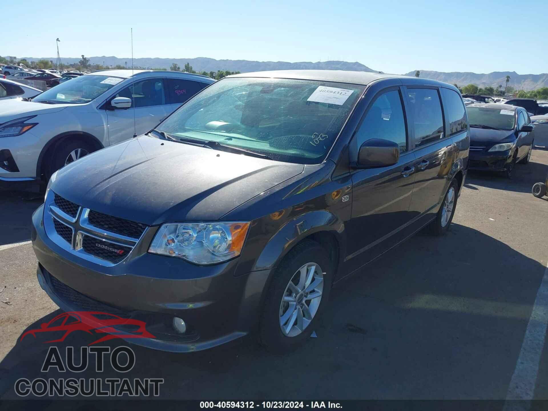 DODGE GRAND CARAVAN 2019 - 2C4RDGBG0KR789984