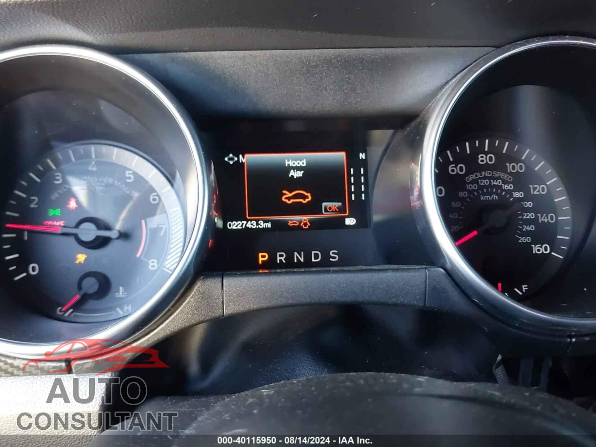 FORD MUSTANG 2021 - 1FA6P8TH1M5156021