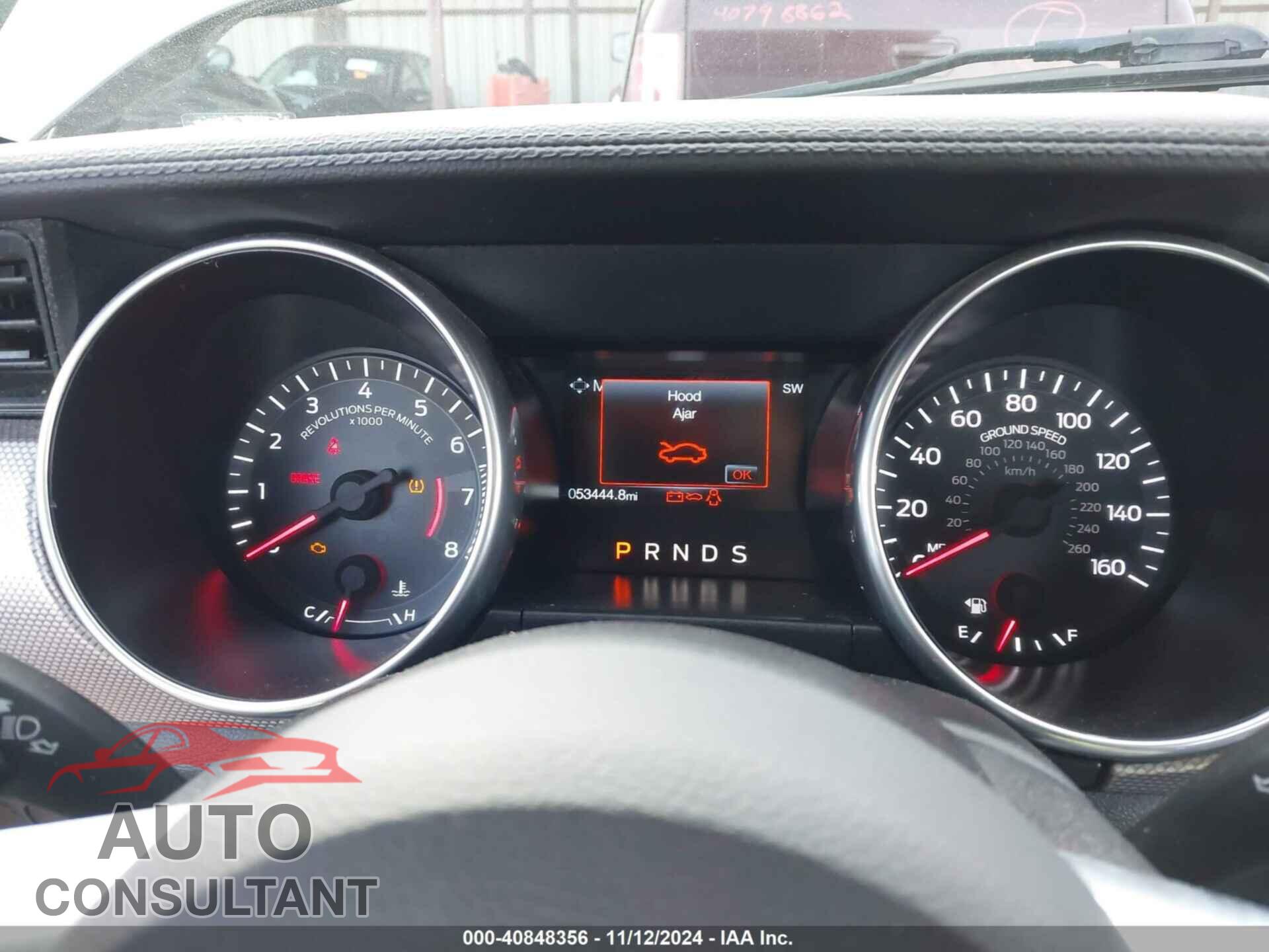 FORD MUSTANG 2019 - 1FA6P8TH2K5173455