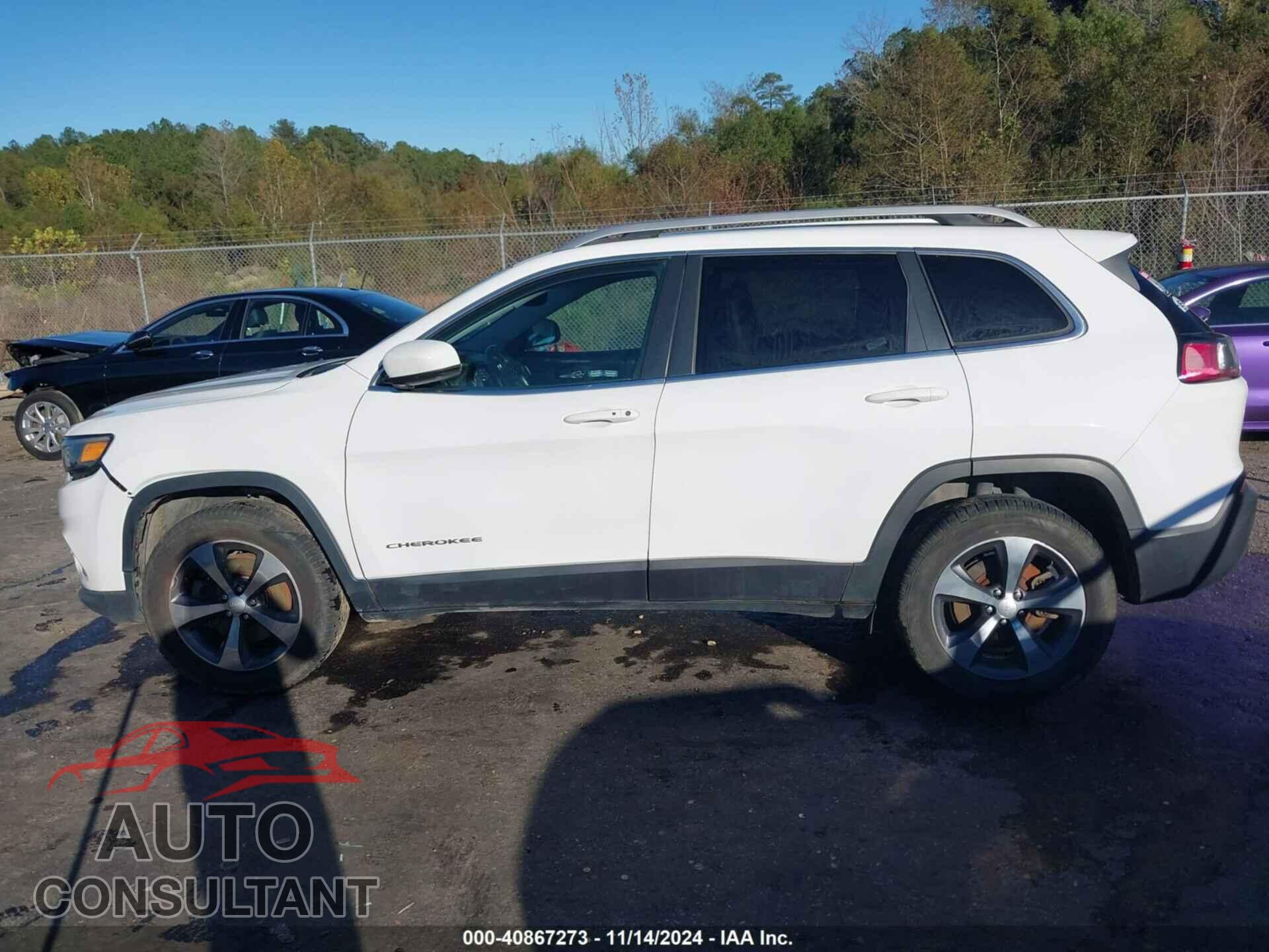 JEEP CHEROKEE 2019 - 1C4PJMDX4KD350110