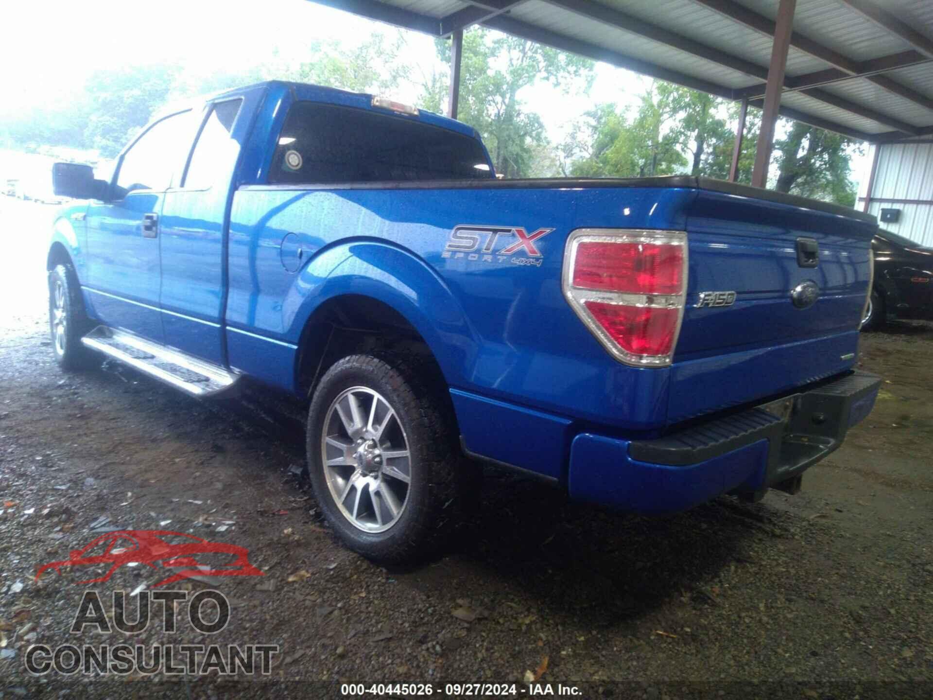 FORD F-150 2014 - 1FTFX1EF5EFA81655