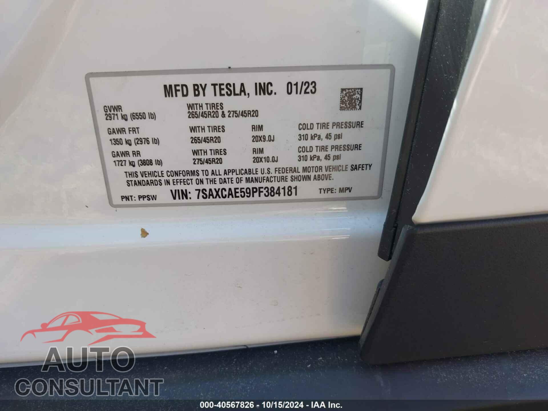 TESLA MODEL X 2023 - 7SAXCAE59PF384181