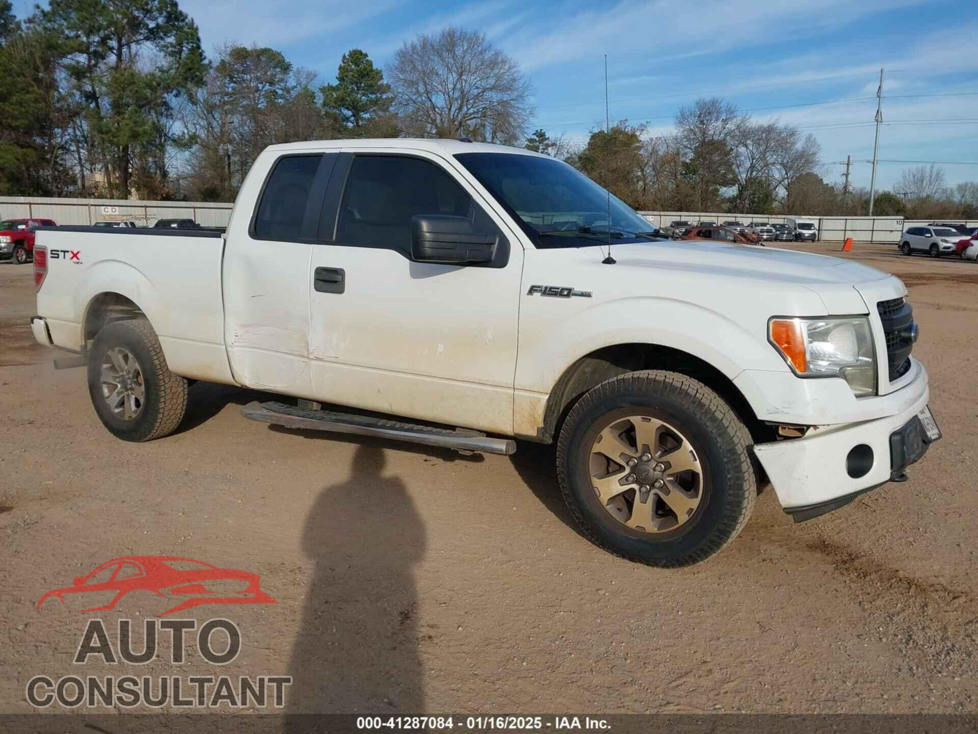 FORD F-150 2013 - 1FTFX1EF8DFD82113