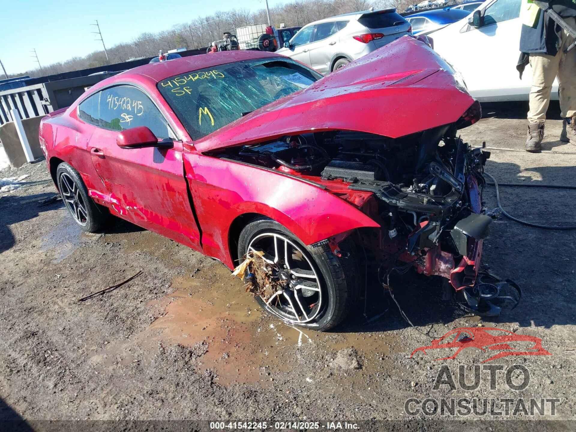 FORD MUSTANG 2019 - 1FA6P8TH3K5117315