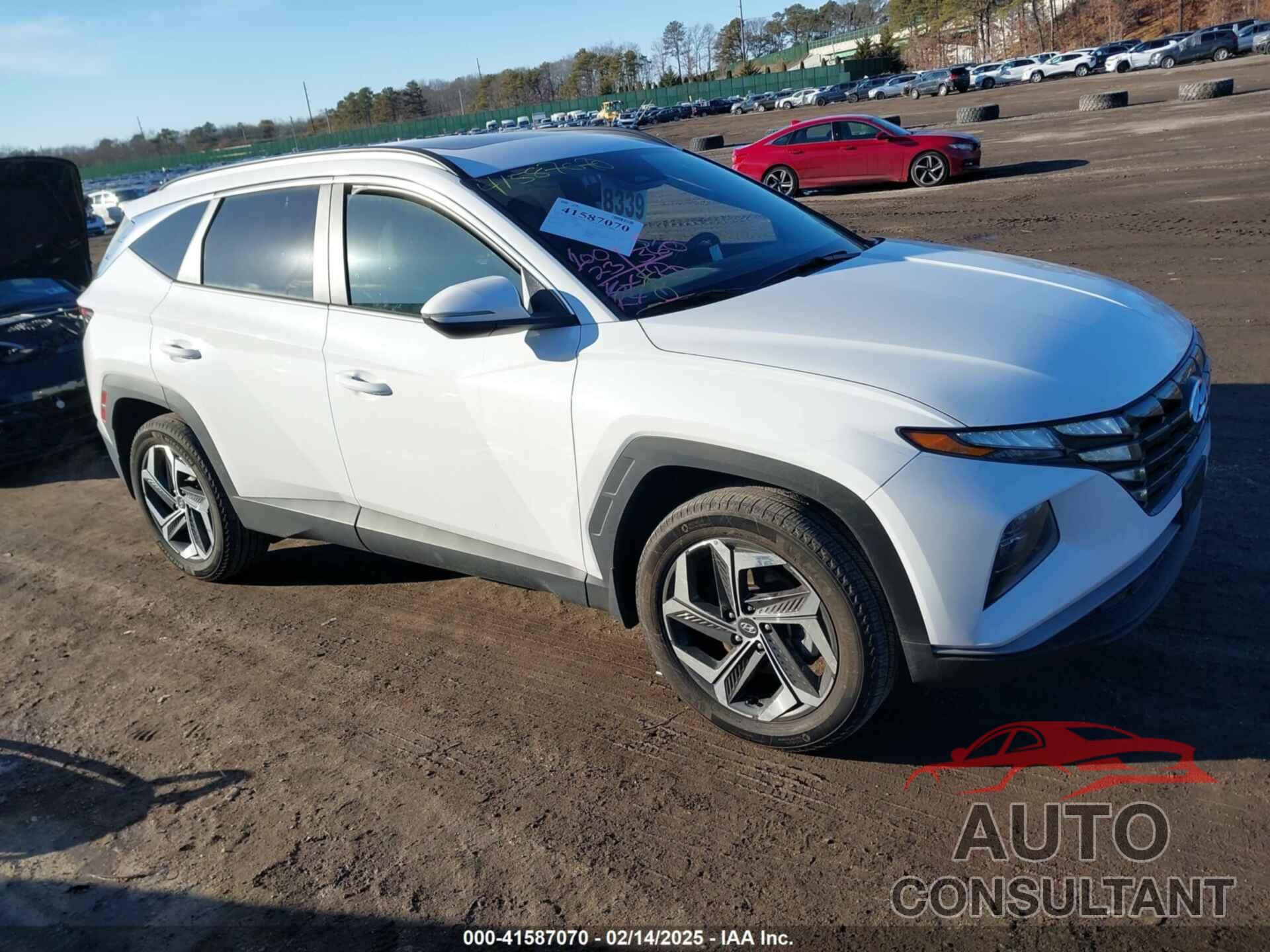 HYUNDAI TUCSON 2024 - 5NMJFCDE5RH366527