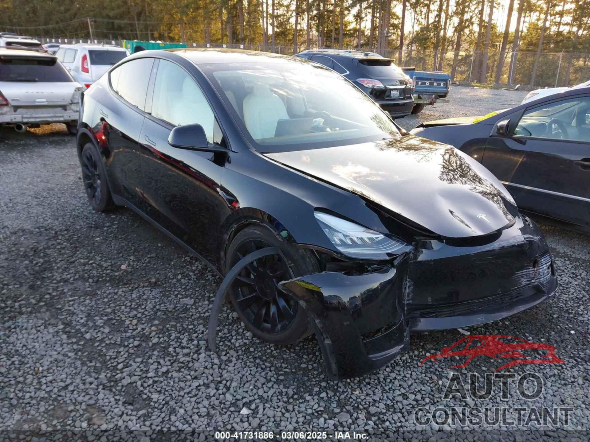 TESLA MODEL Y 2021 - 5YJYGDEE2MF299024