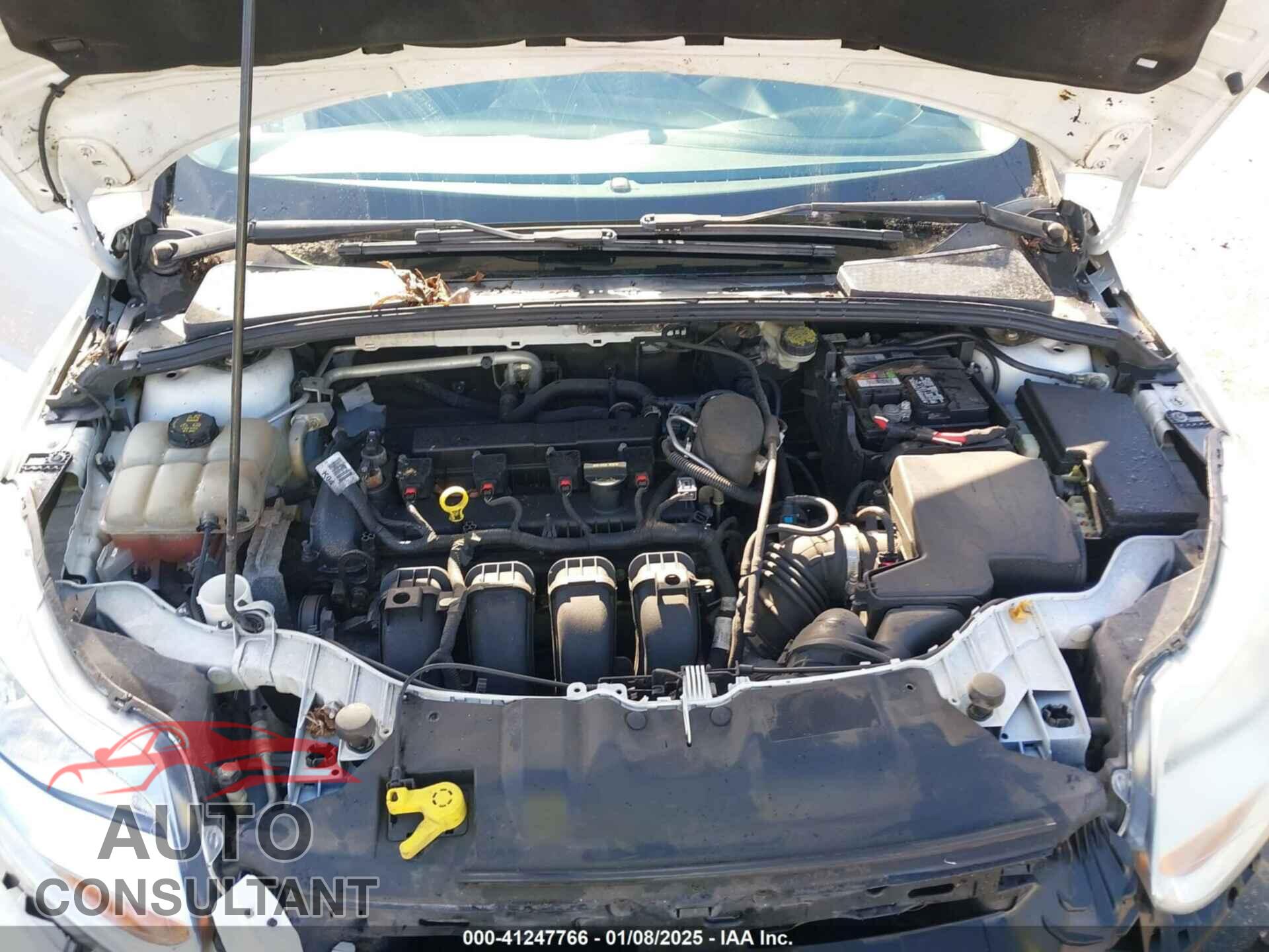 FORD FOCUS 2014 - 1FADP3F21EL317448