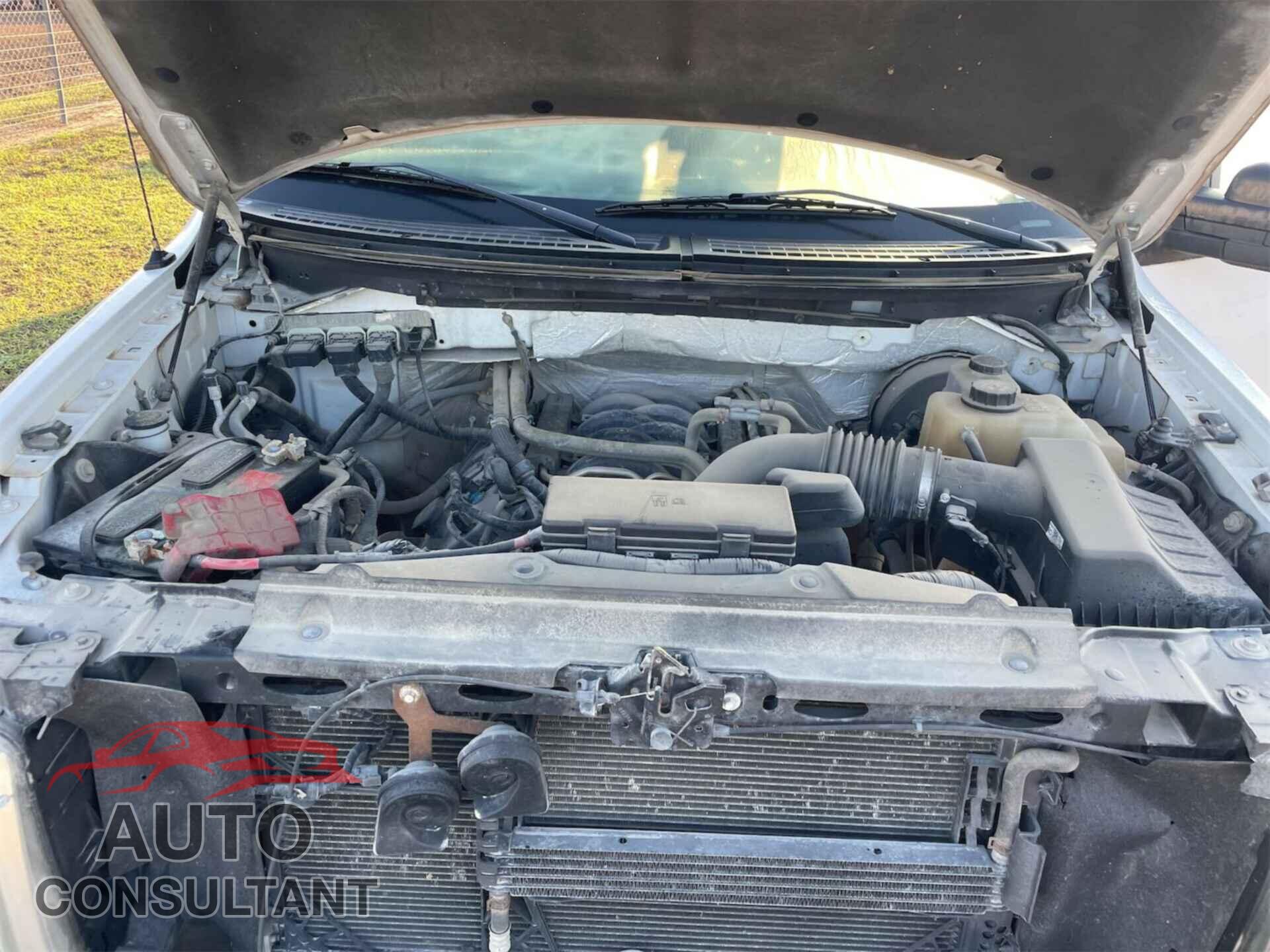 FORD F150 2012 - 1FTFX1CF9CFD02416