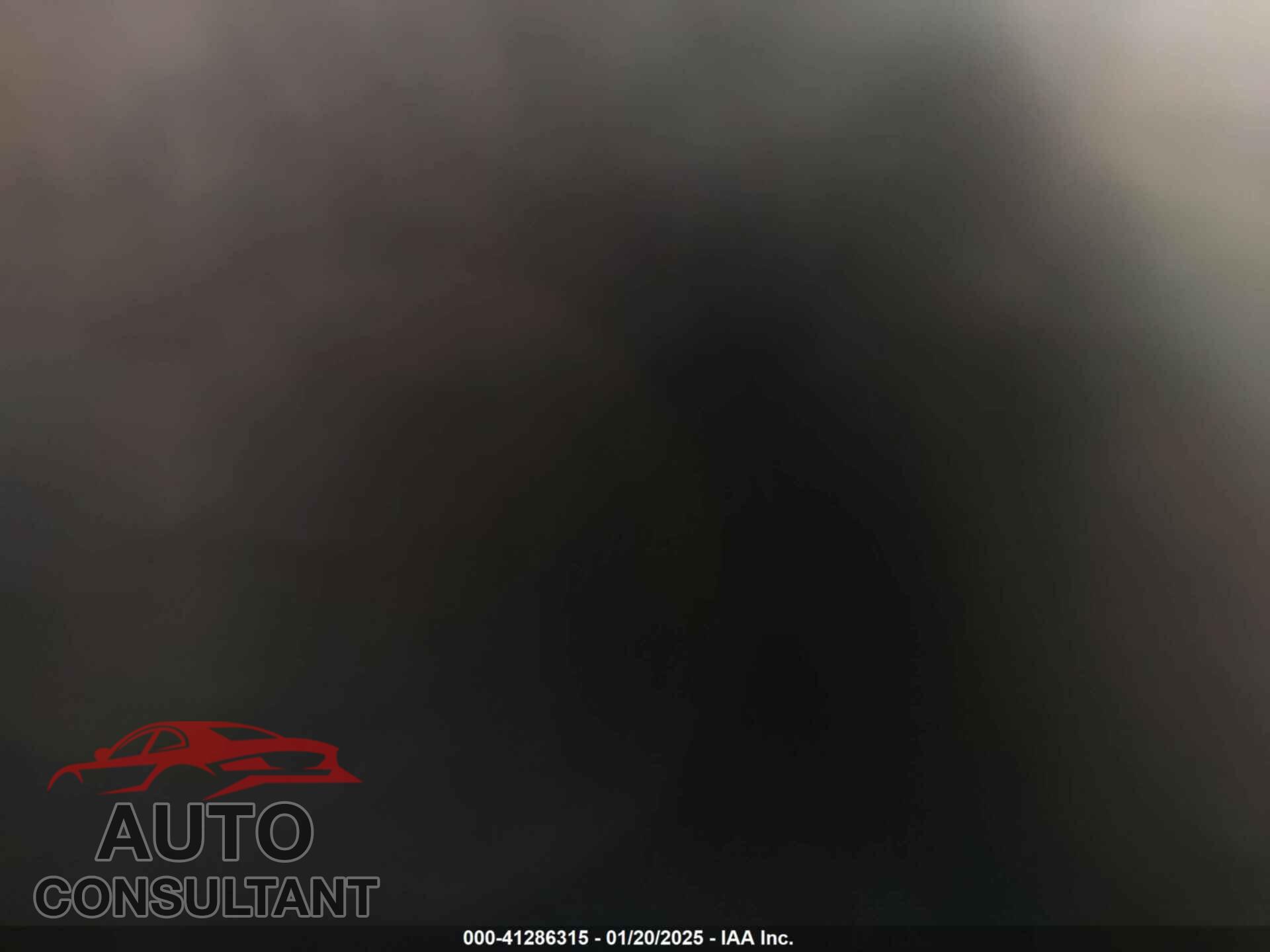 TESLA MODEL 3 2019 - 5YJ3E1EA5KF298040