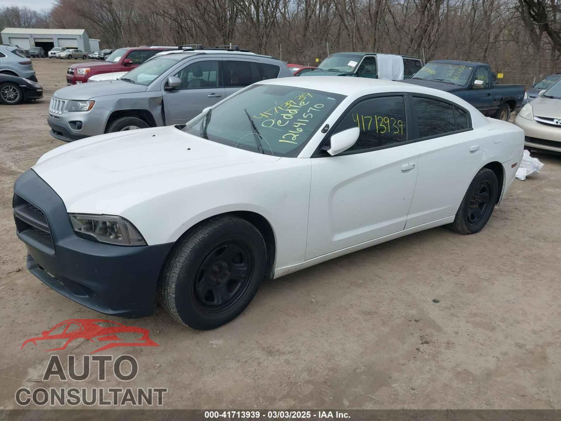DODGE CHARGER 2013 - 2C3CDXAT4DH523529